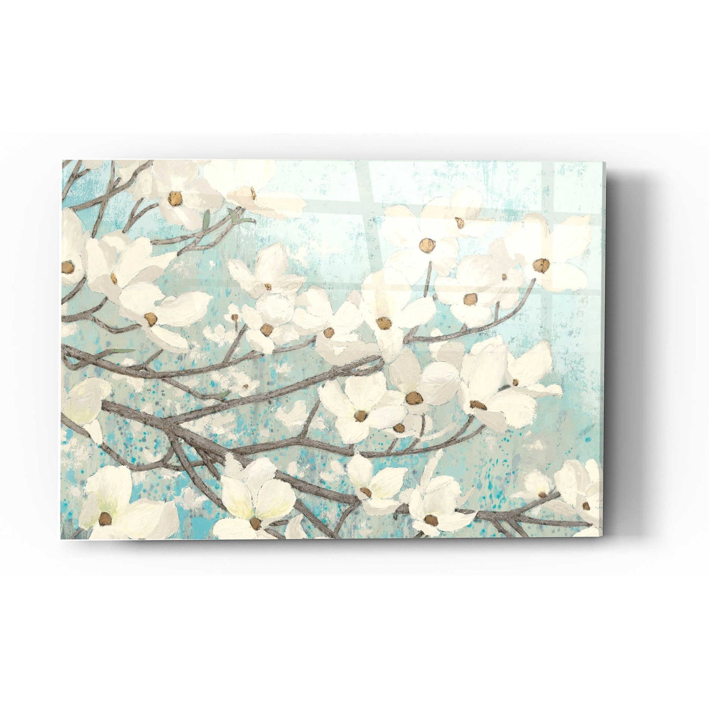 Epic Art 'Dogwood Blossoms II' by James Wiens, Acrylic Glass Wall Art,24x36