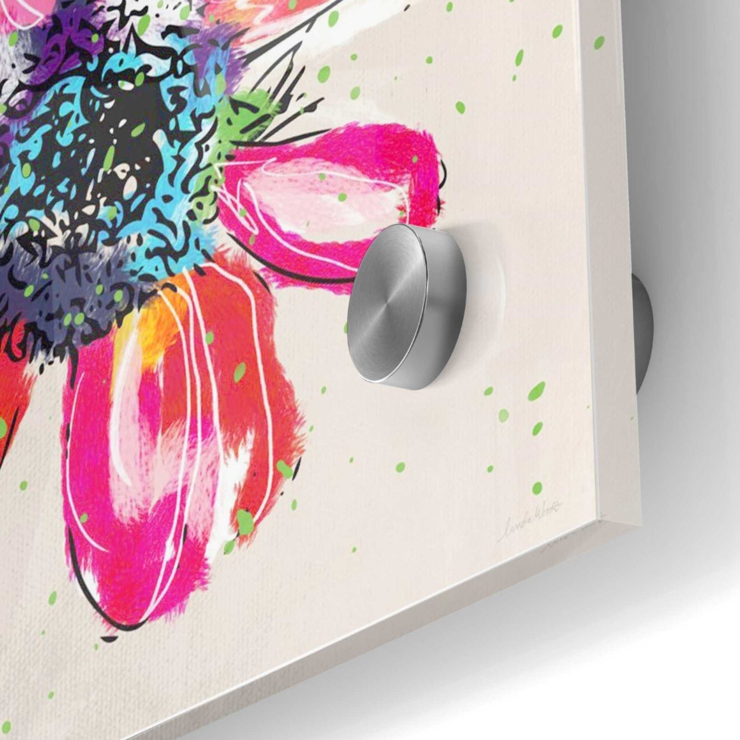 Epic Art 'Colorful Daisy' by Linda Woods, Acrylic Glass Wall Art,36x36