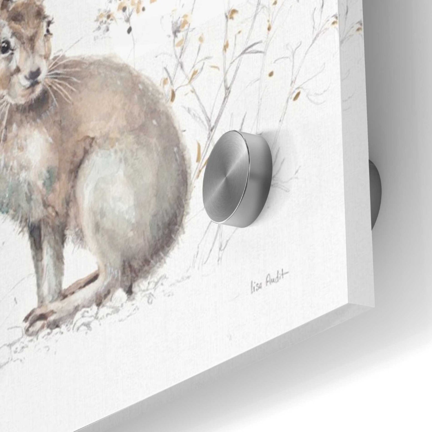 Epic Art 'Wood Walk XIII' by Lisa Audit, Acrylic Glass Wall Art,36x36