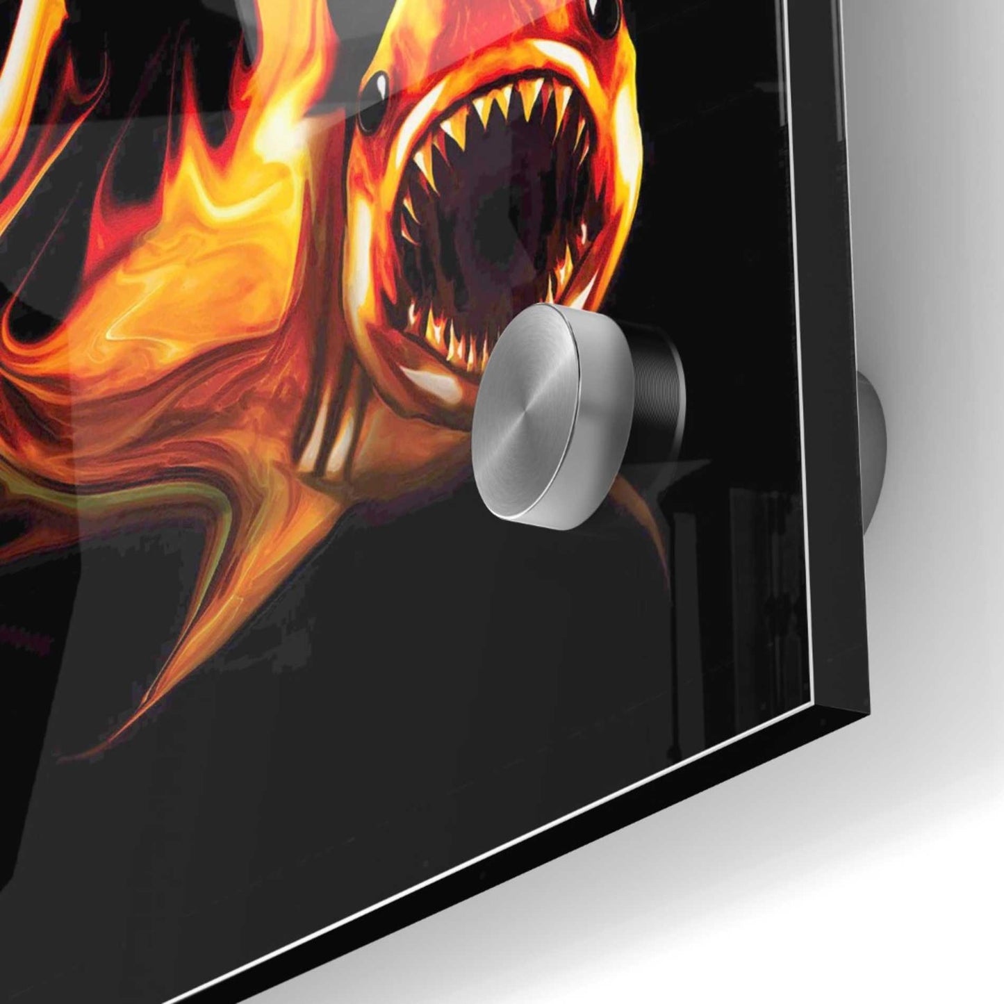 Epic Art 'White Shark' by Michael Stewart, Acrylic Glass Wall Art,36x36