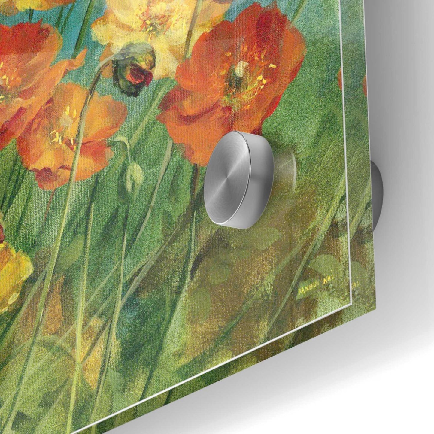 Epic Art 'Summer Field IV' by Danhui Nai, Acrylic Glass Wall Art,36x36