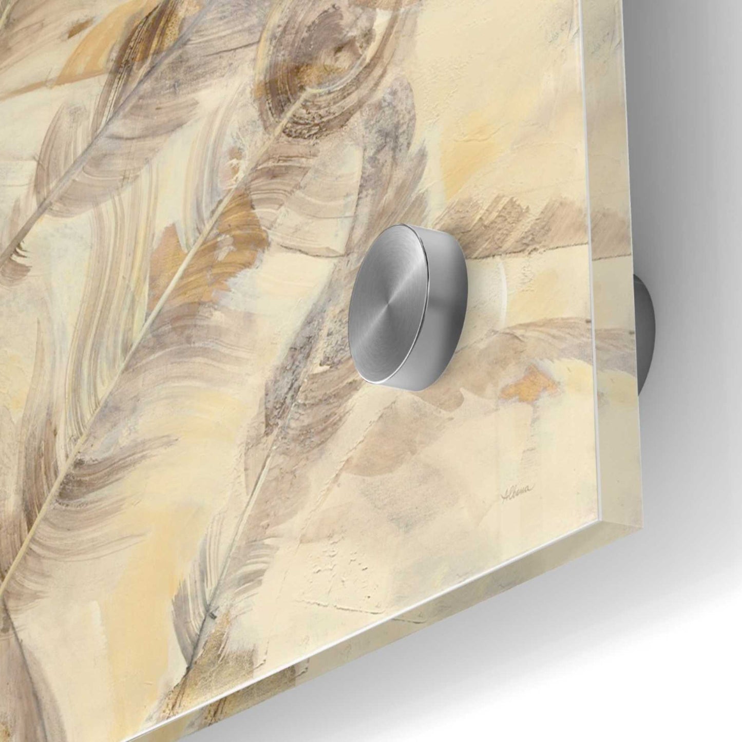 Epic Art 'Falling Feathers' by Albena Hristova, Acrylic Glass Wall Art,36x36