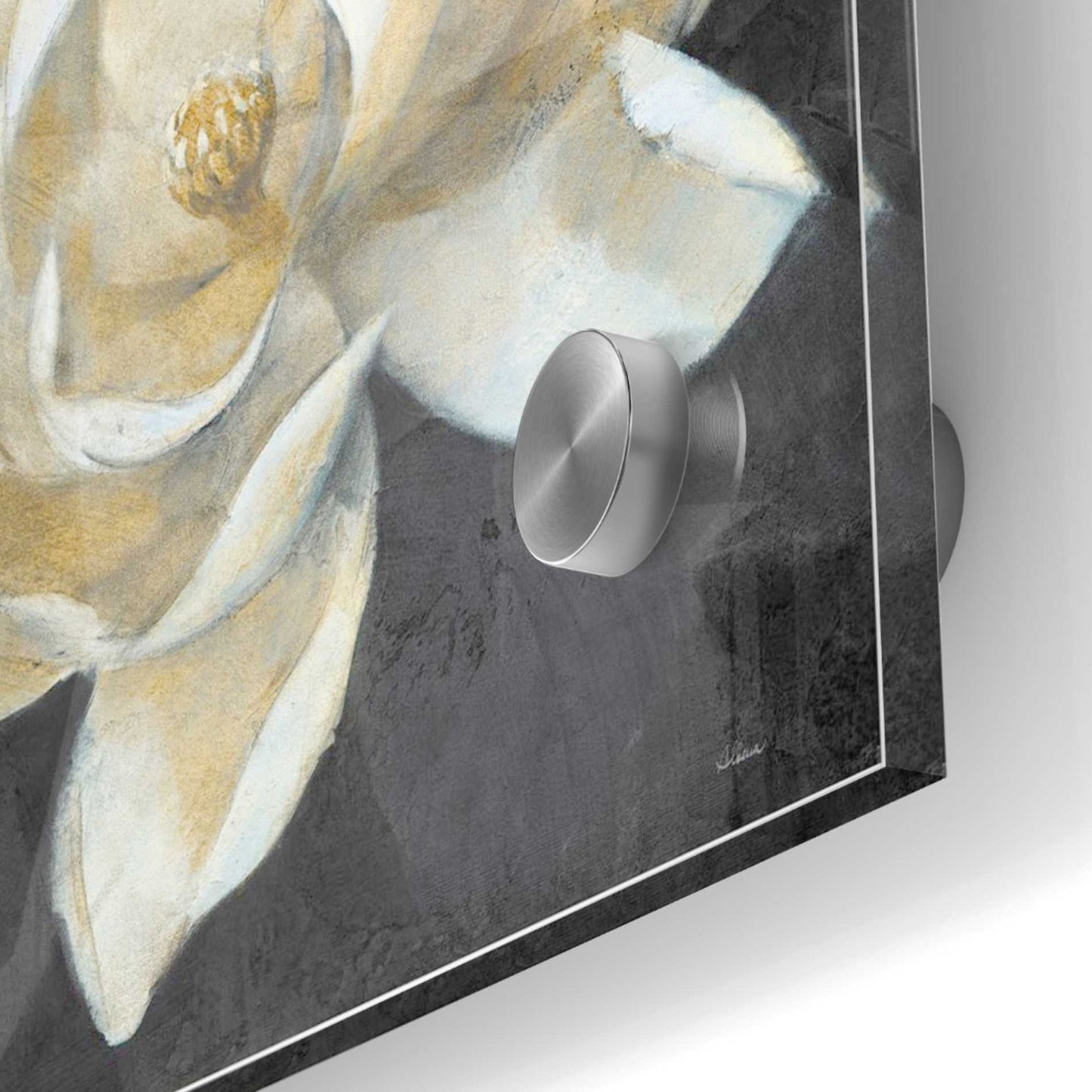 Epic Art 'Majestic Magnolia Neutral Sq' by Albena Hristova, Acrylic Glass Wall Art,36x36