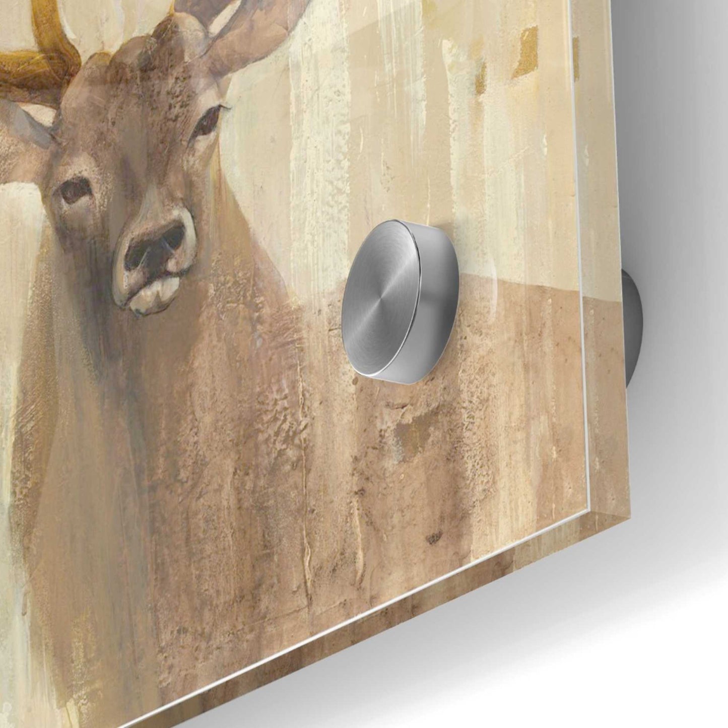 Epic Art 'Forest King' by Albena Hristova, Acrylic Glass Wall Art,36x36