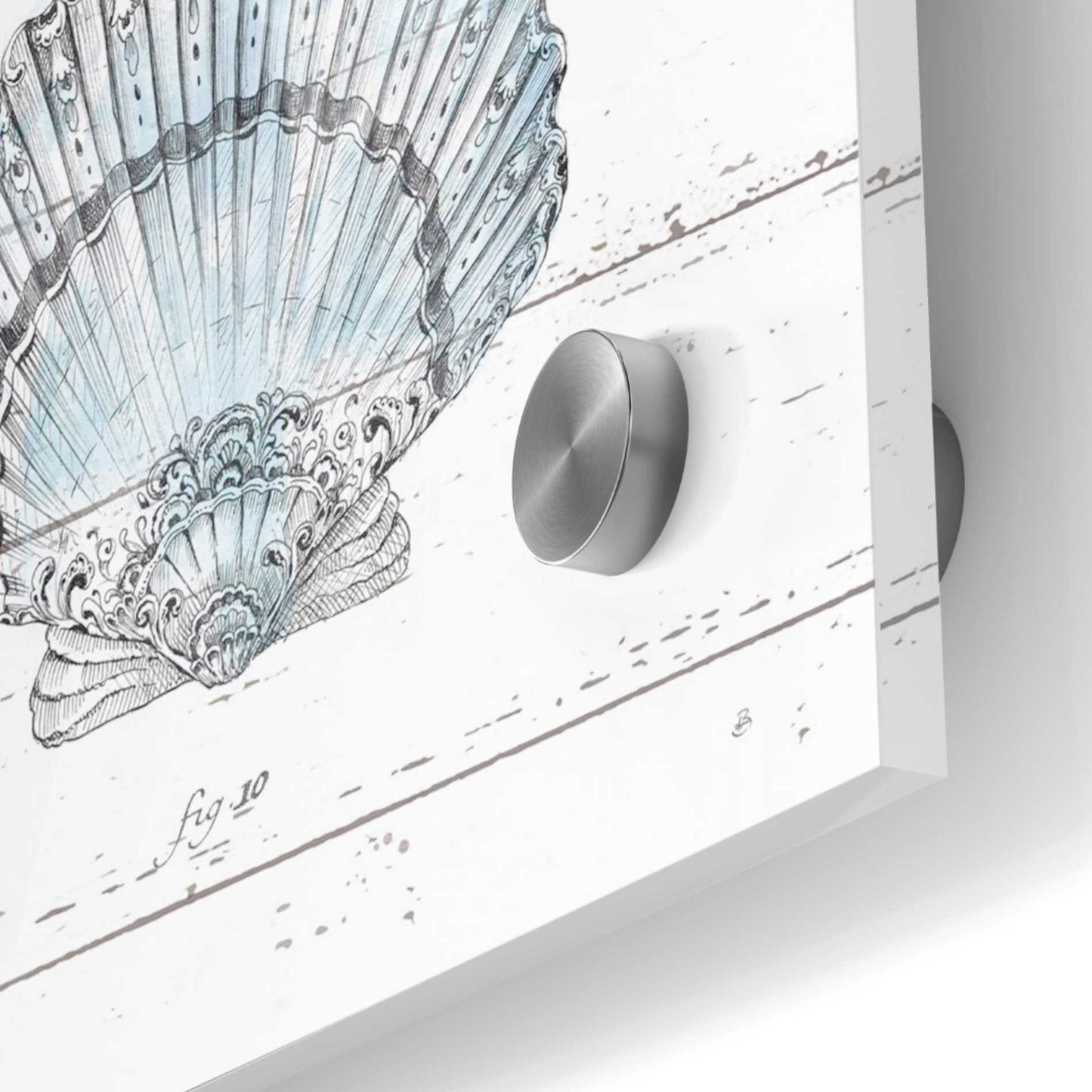 Epic Art 'Aqua Underwater Life VIII' by Daphne Brissonet, Acrylic Glass Wall Art,36x36