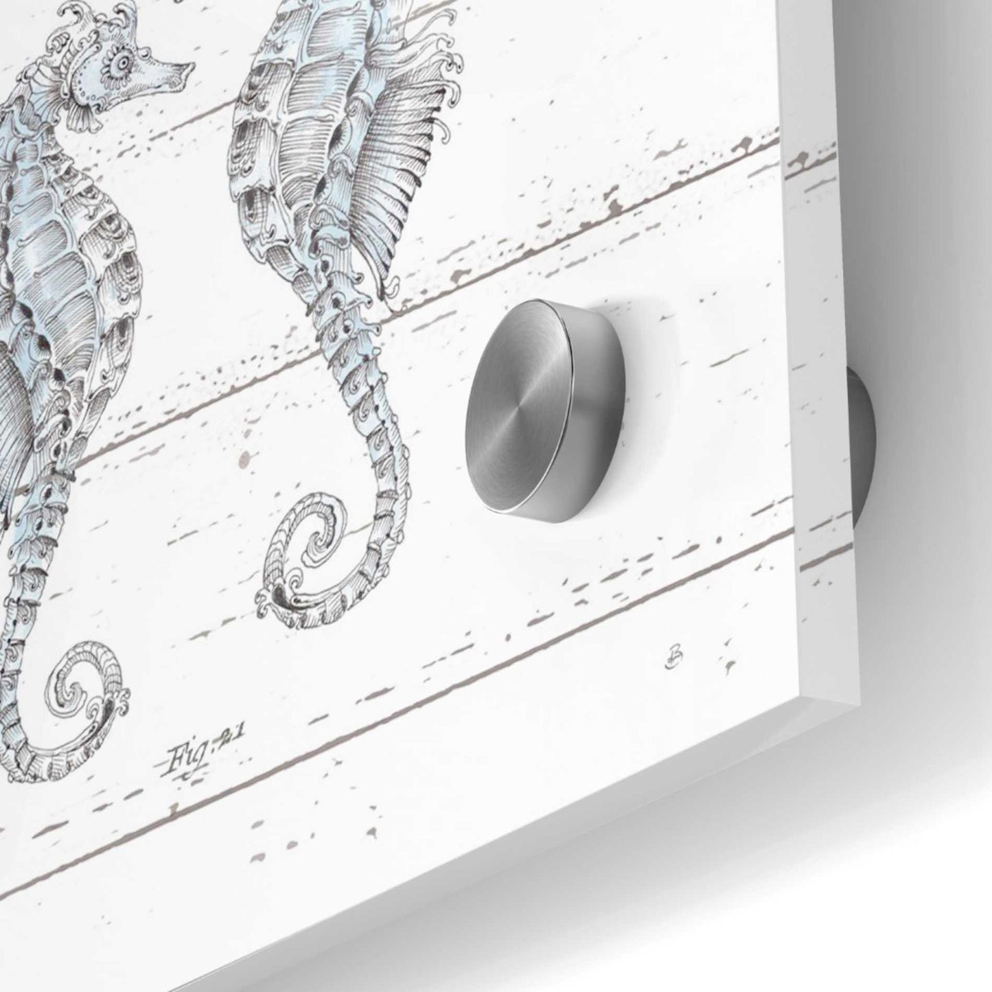 Epic Art 'Aqua Underwater Life V' by Daphne Brissonet, Acrylic Glass Wall Art,36x36