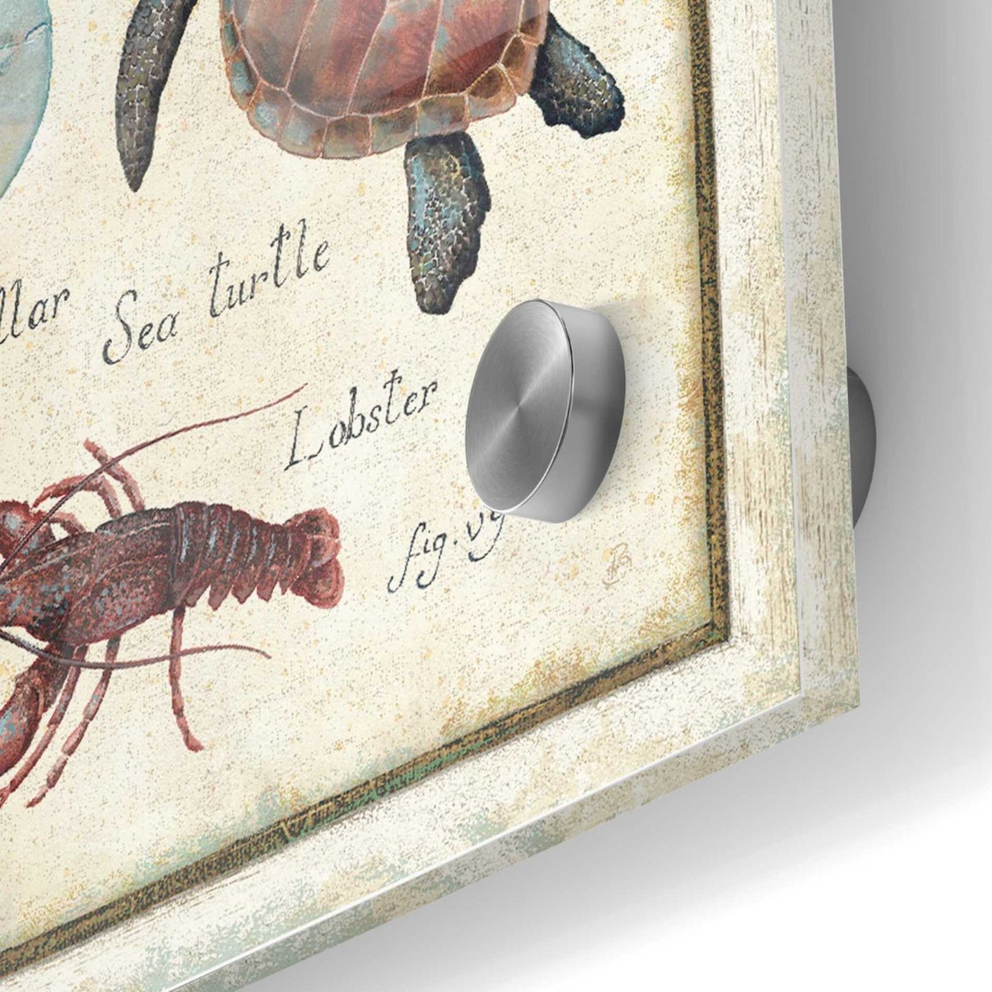 Epic Art 'Oceanography II' by Daphne Brissonet, Acrylic Glass Wall Art,36x36