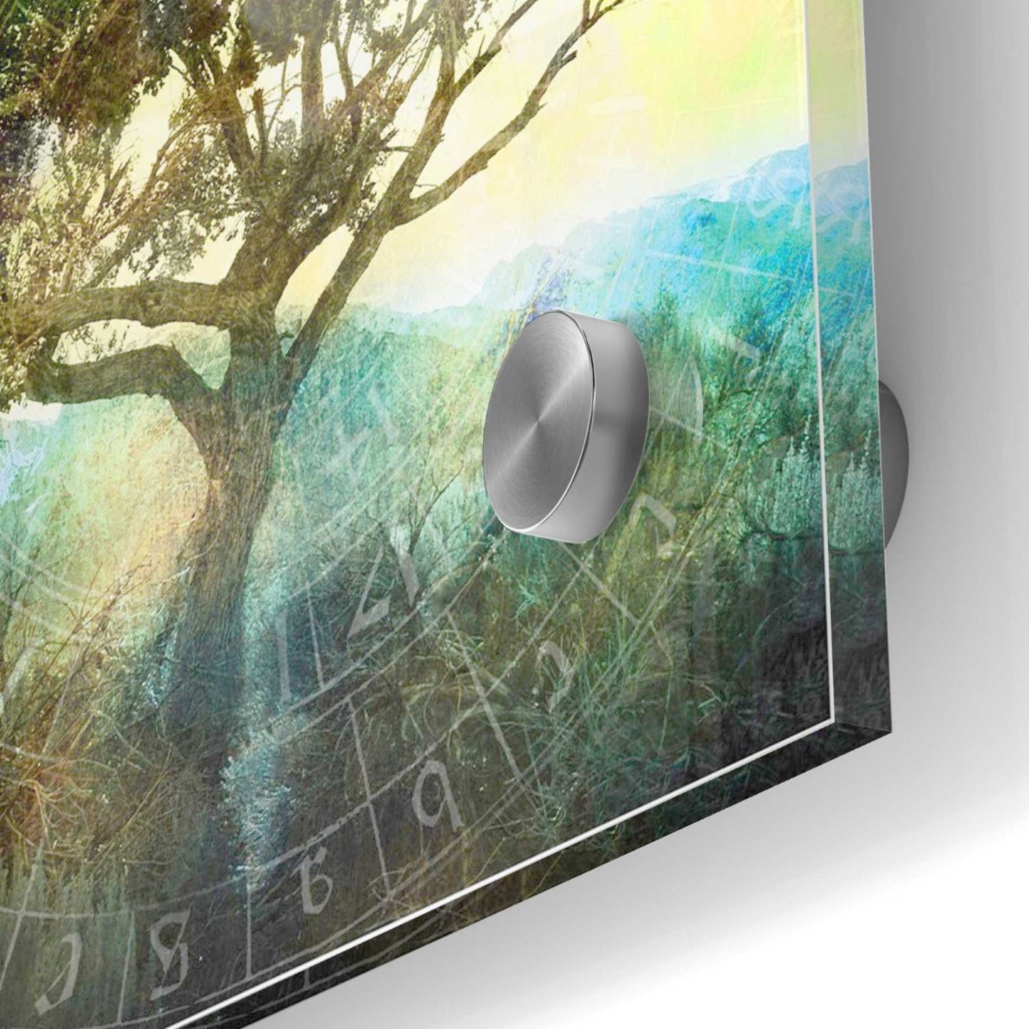 Epic Art 'Tree And Sun' by Elena Ray Acrylic Glass Wall Art,36x36