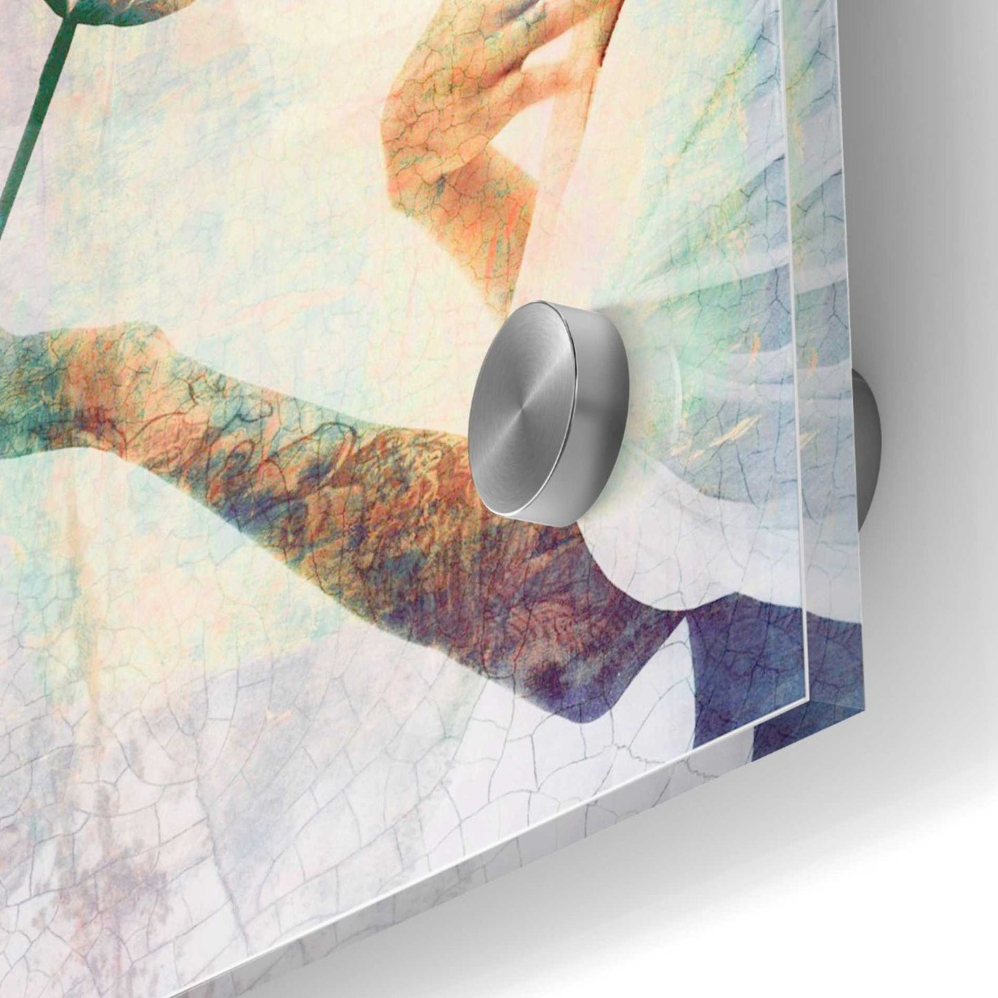 Epic Art 'Knowledge From The Heart' by Elena Ray Acrylic Glass Wall Art,36x36