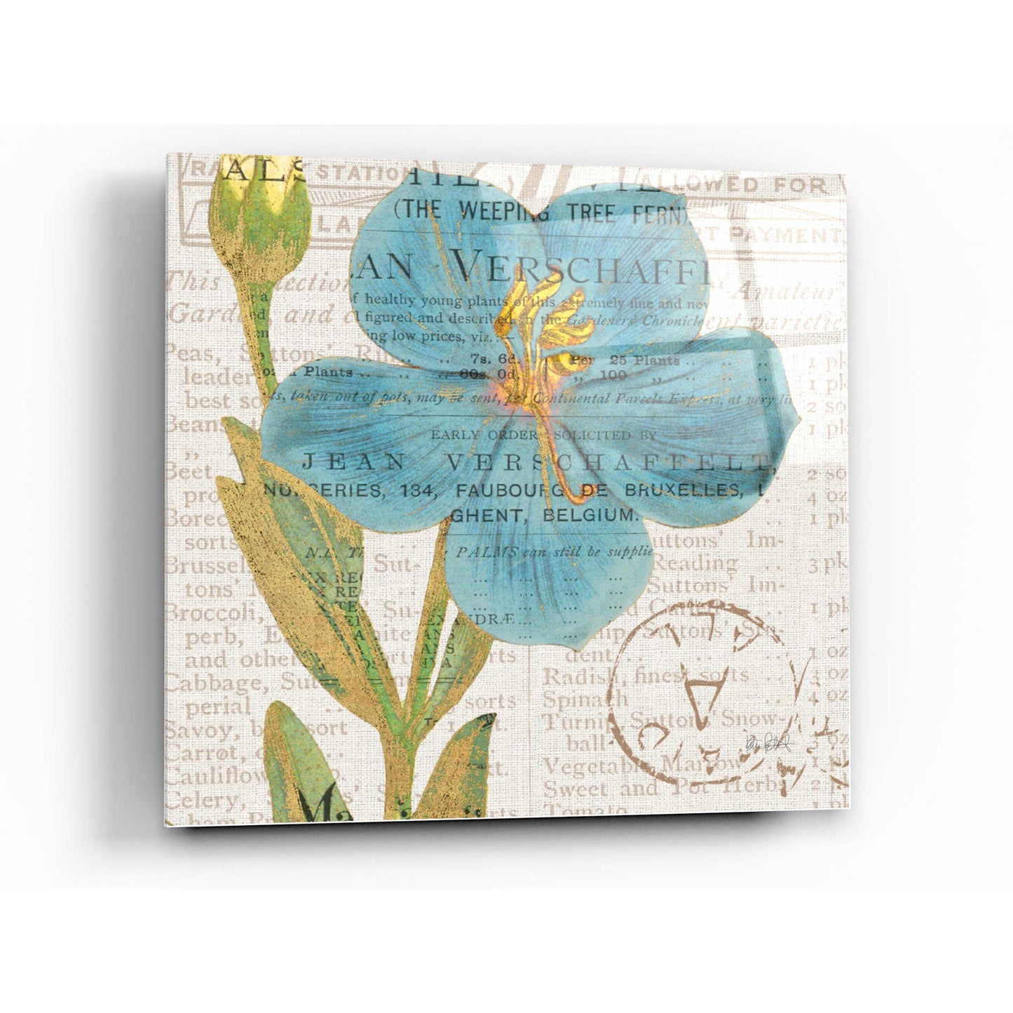 Epic Art 'Bookshelf Botanical VI' by Katie Pertiet, Acrylic Glass Wall Art,36x36