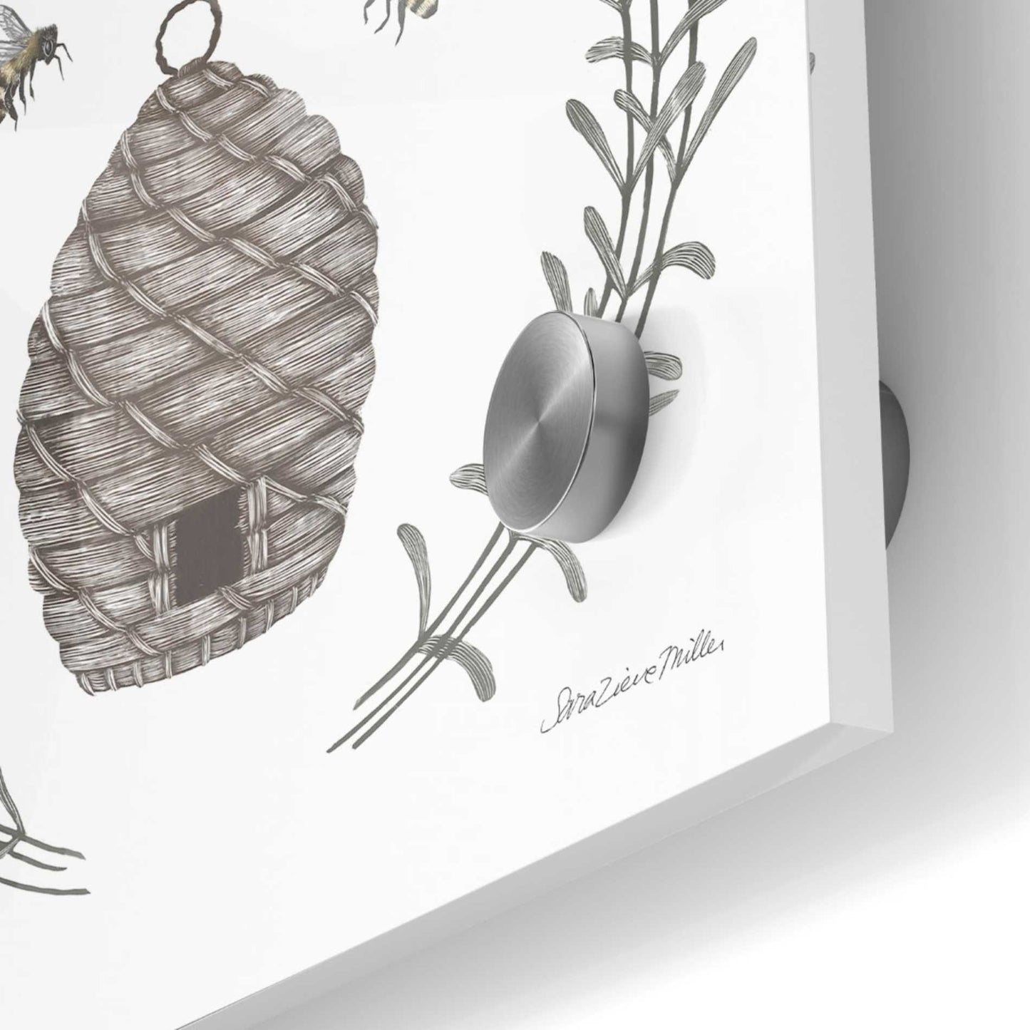 Epic Art 'Happy to Bee Home II' by Sara Zieve Miller, Acrylic Glass Wall Art,36x36