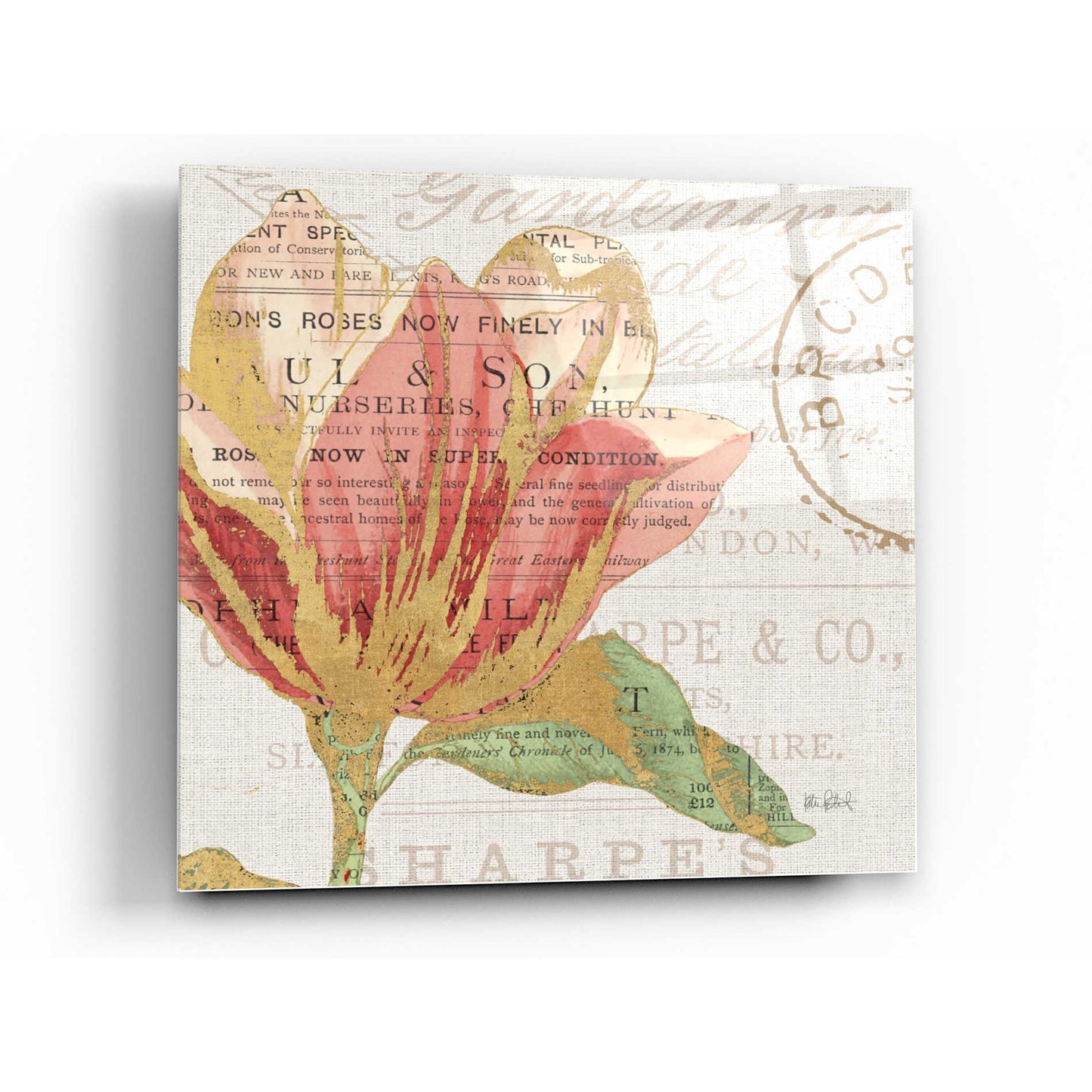 Epic Art 'Bookshelf Botanical III' by Katie Pertiet, Acrylic Glass Wall Art,36x36