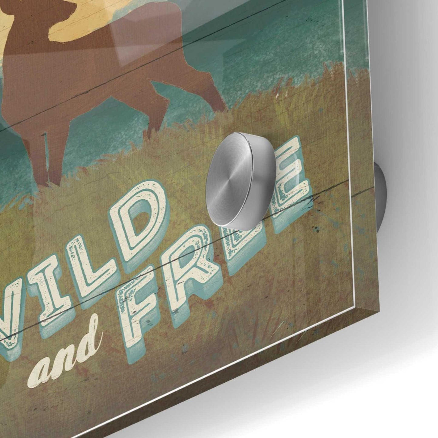 Epic Art 'Discover the Wild II' by Janelle Penner, Acrylic Glass Wall Art,36x36