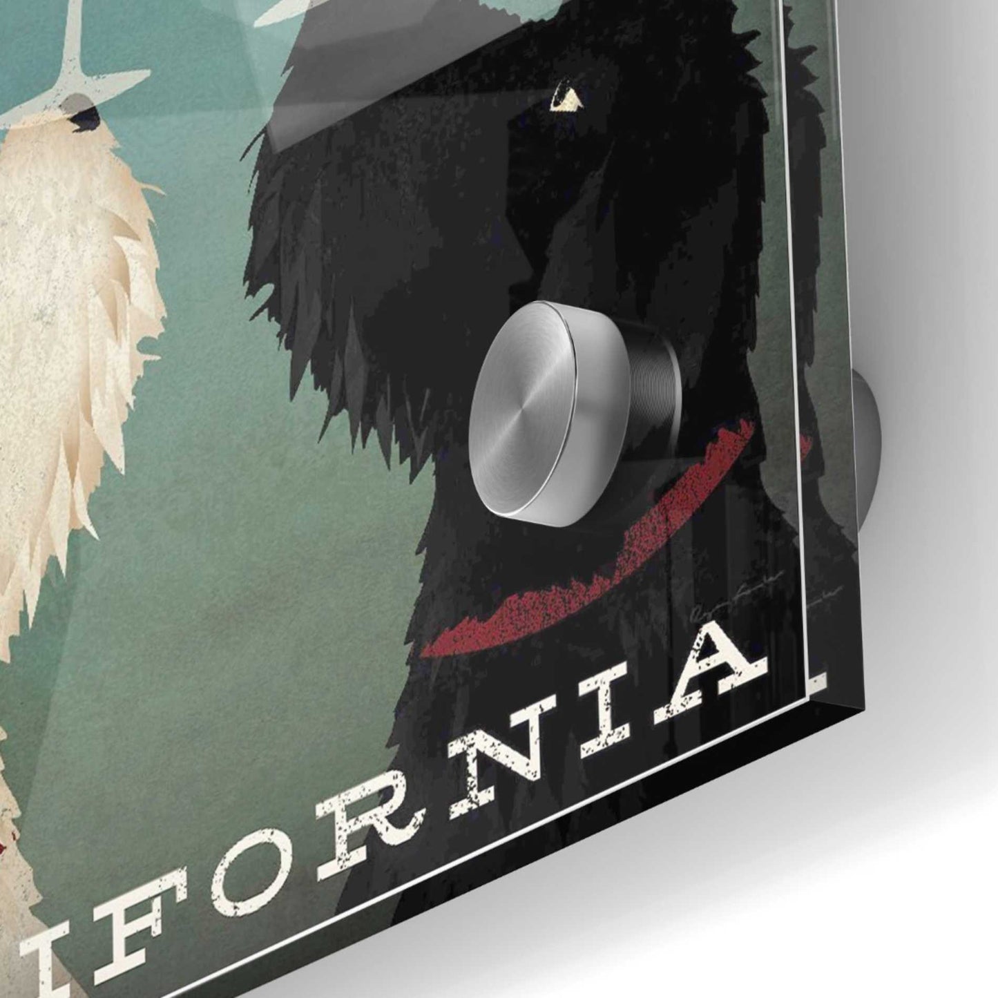 Epic Art 'Doodle Wine' by Ryan Fowler, Acrylic Glass Wall Art,36x36