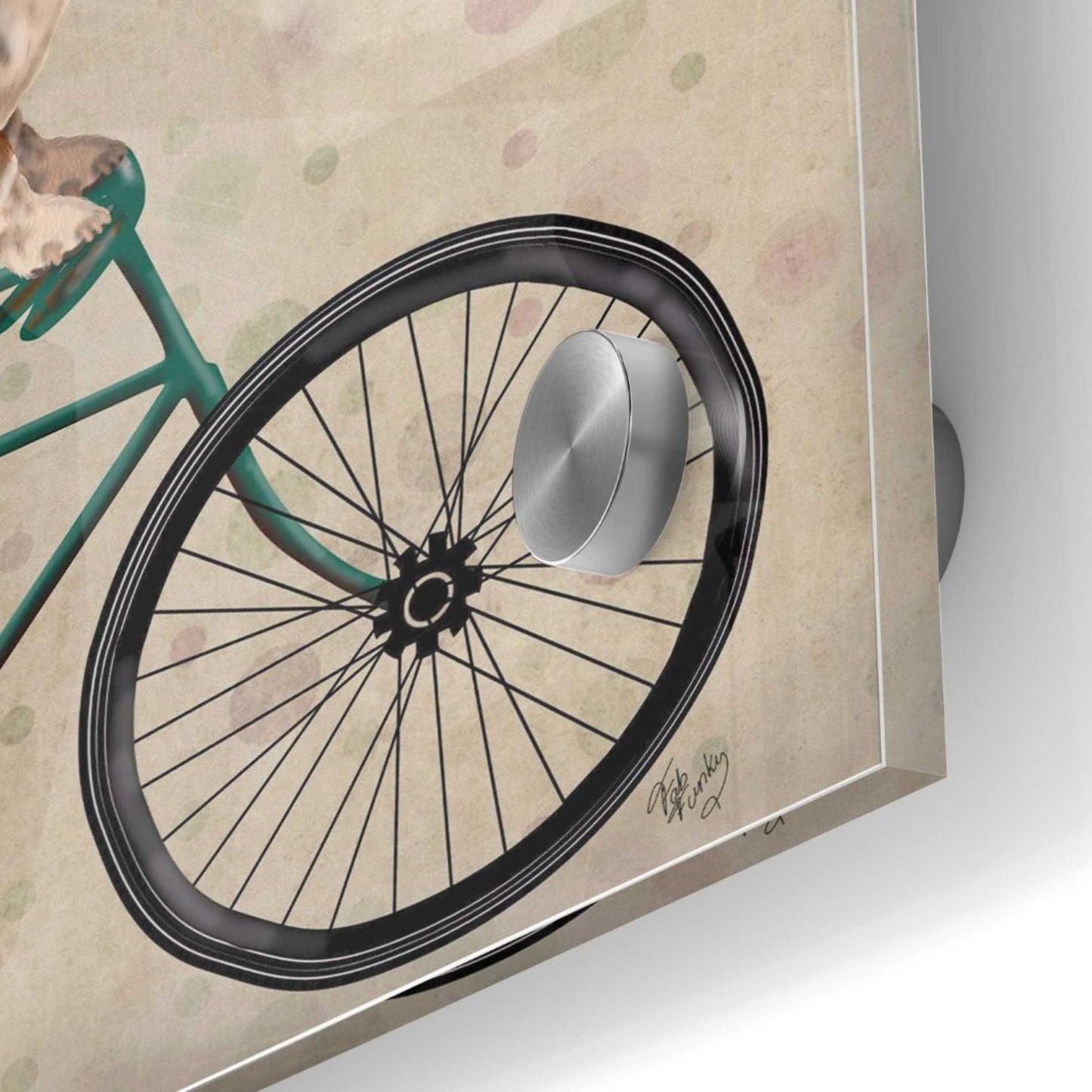 Epic Art 'Basset Hound on Bicycle' by Fab Funky Acrylic Glass Wall Art,36x36