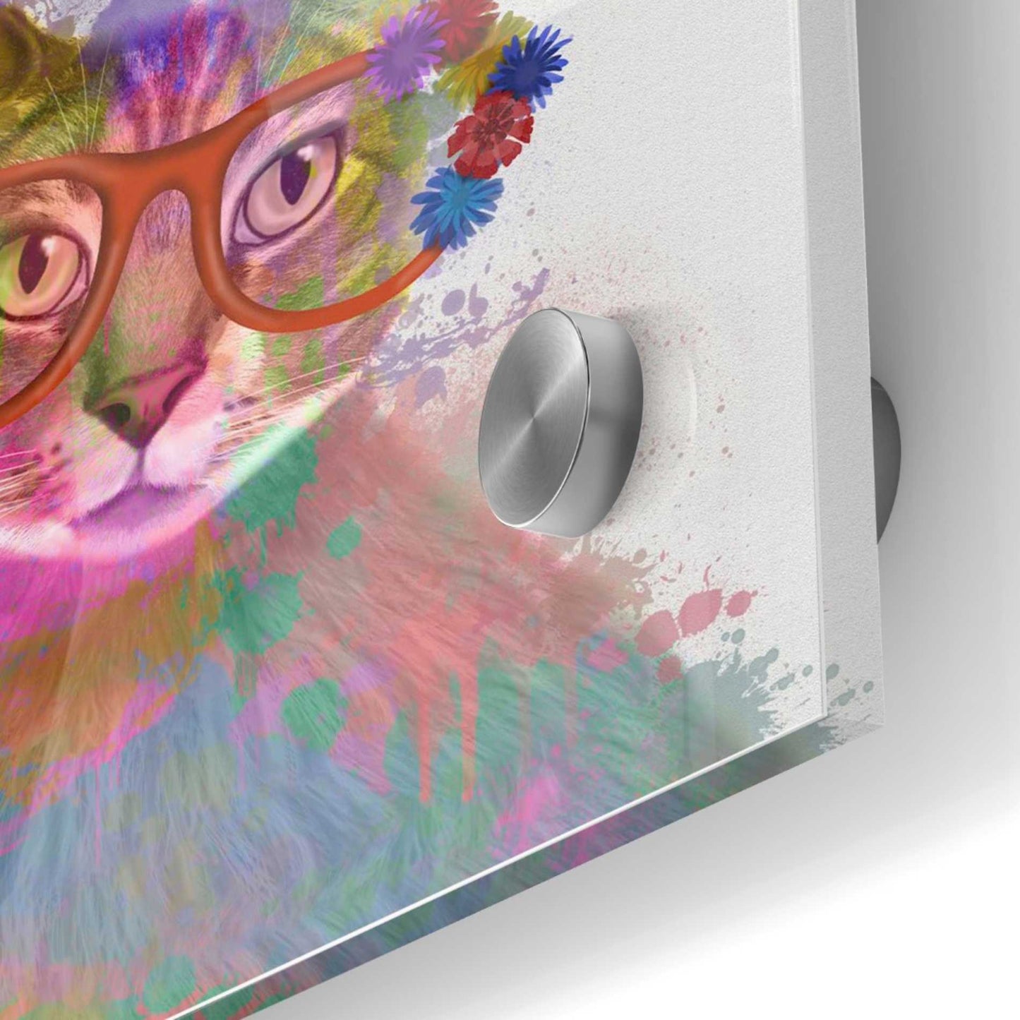Epic Art 'Rainbow Splash Cat 1' by Fab Funky Acrylic Glass Wall Art,36x36