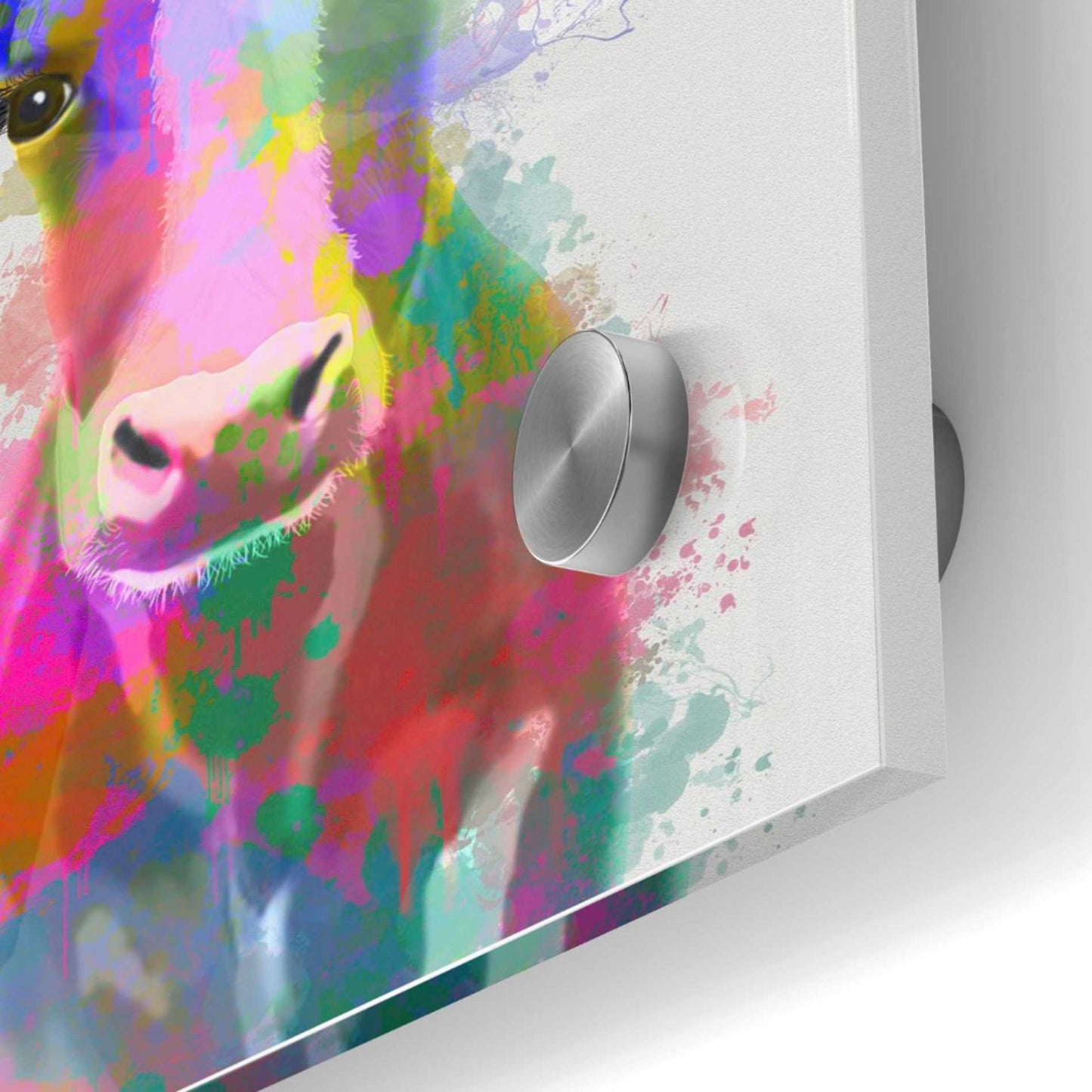 Epic Art 'Rainbow Splash Cow' by Fab Funky Acrylic Glass Wall Art,36x36