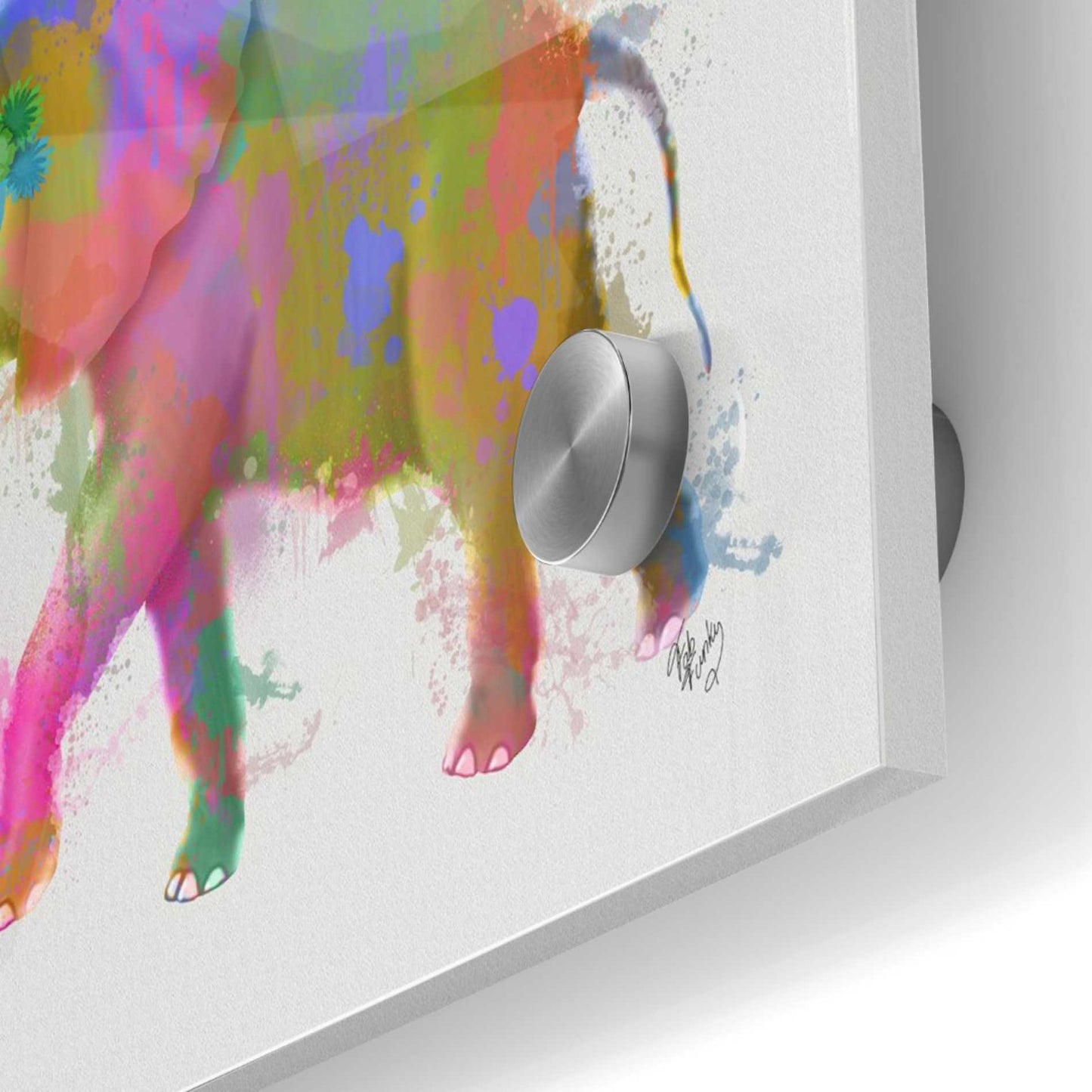 Epic Art 'Rainbow Splash Elephant' by Fab Funky Acrylic Glass Wall Art,36x36