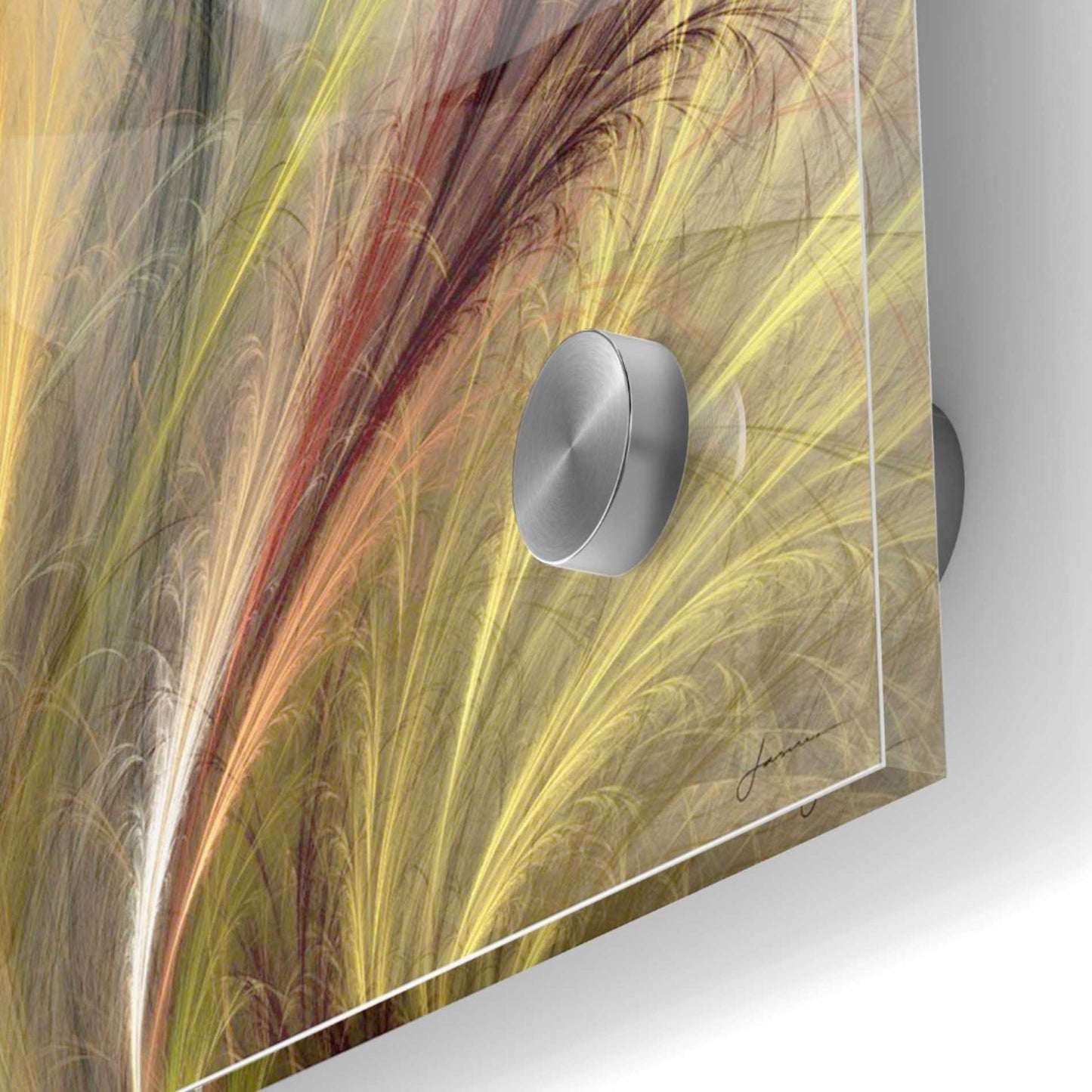 Epic Art 'Fountain Grass I' by James Burghardt, Acrylic Glass Wall Art,36x36