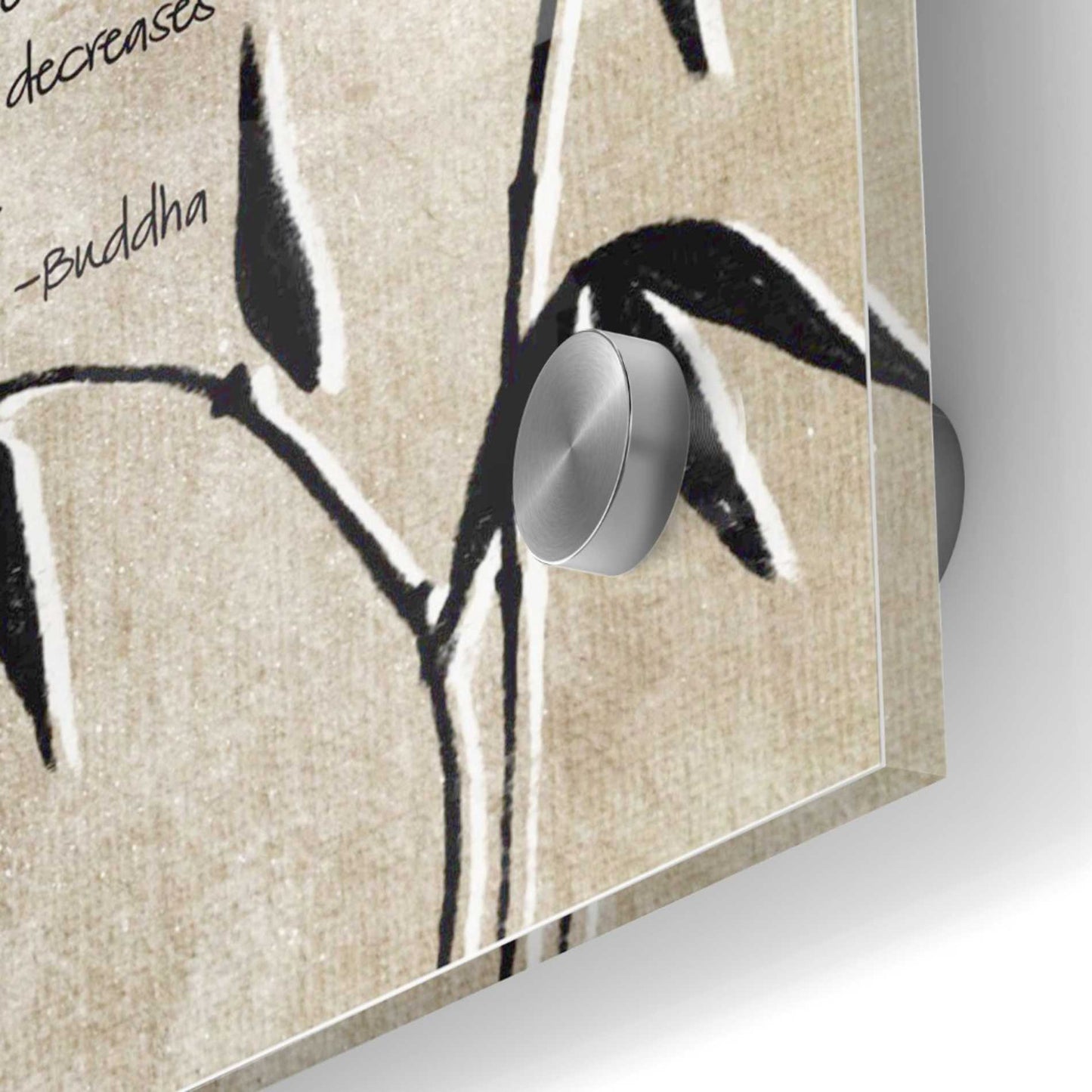 Epic Art 'Happiness' by Linda Woods, Acrylic Glass Wall Art,36x36