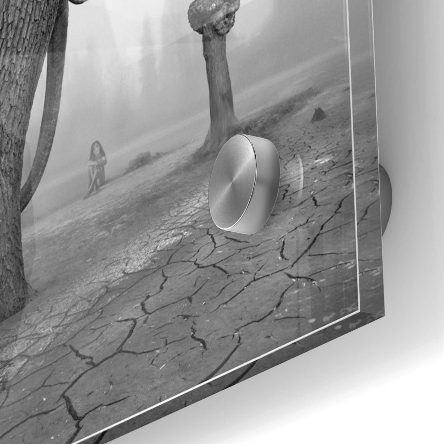 Epic Art 'Animalia' by Dariusz Klimczak, Acrylic Glass Wall Art,36x36