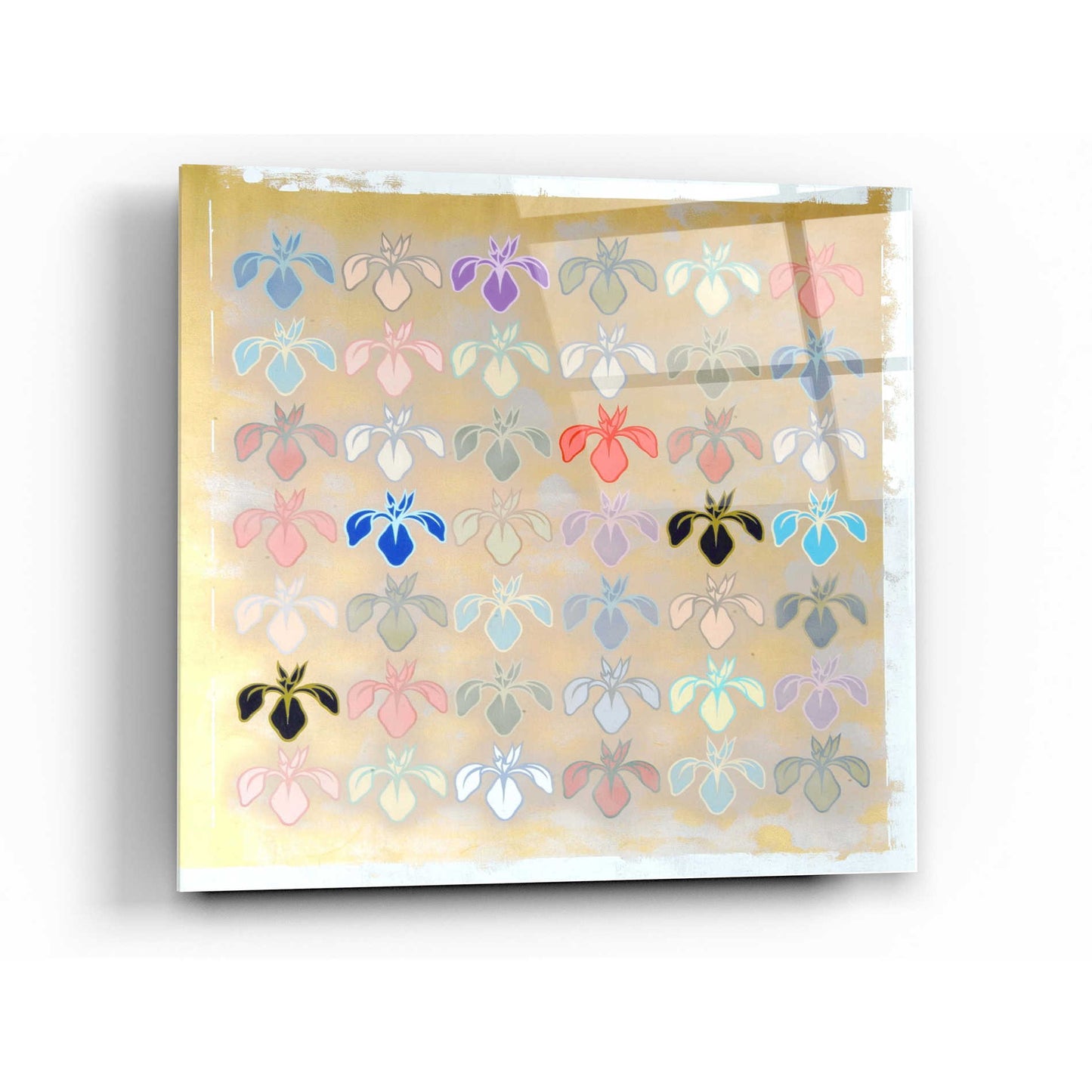 Epic Art 'Iris Mark' by Zigen Tanabe, Acrylic Glass Wall Art,36x36