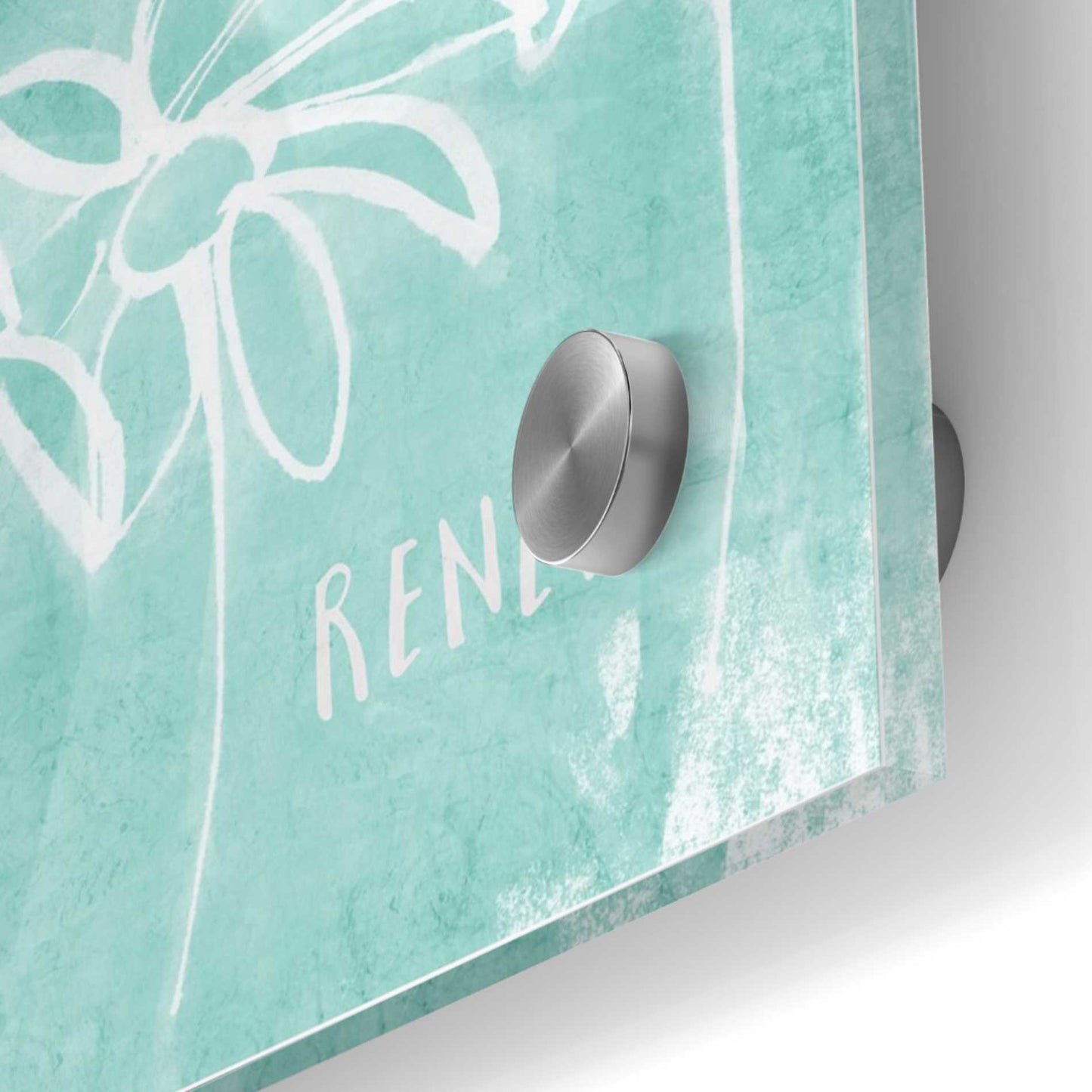 Epic Art 'Renew Mint' by Linda Woods, Acrylic Glass Wall Art,36x36