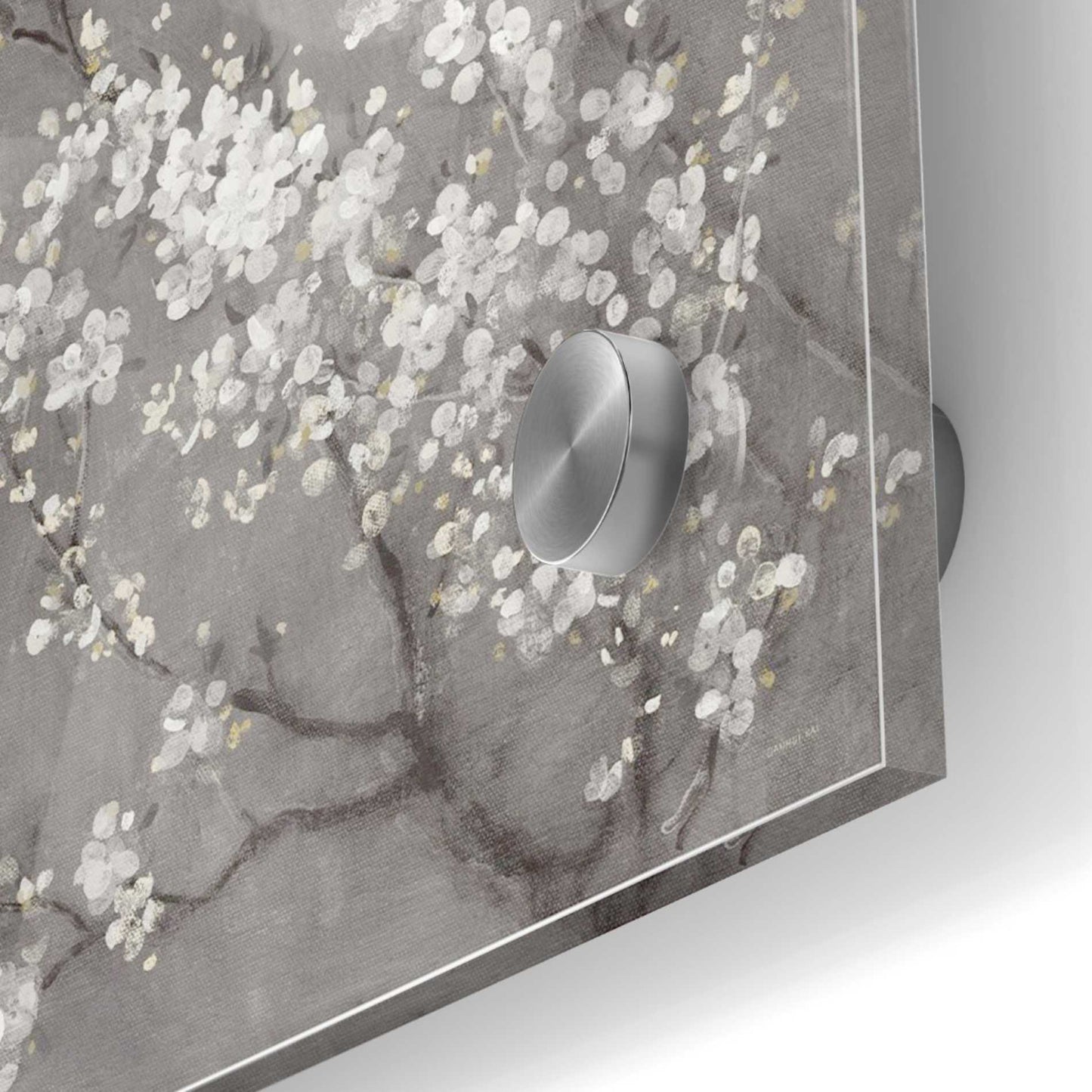 Epic Art 'White Cherry Blossom II on Grey' by Danhui Nai, Acrylic Glass Wall Art,36x36
