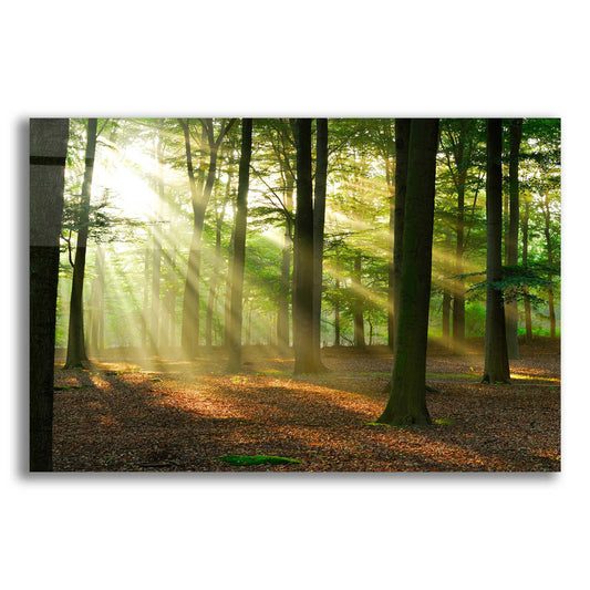 Epic Art 'Rays of Light,' Acrylic Glass Wall Art