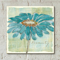 Spa Daisies I by Chris Paschke - 12x12 acrylic wall art in a room
