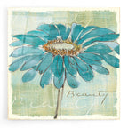 Spa Daisies I by Chris Paschke acrylic glass wall art