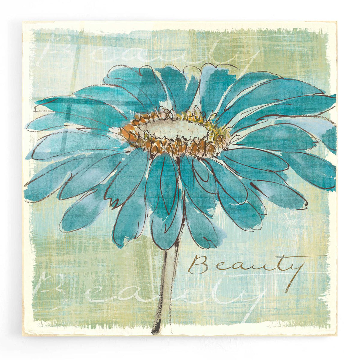 Spa Daisies I by Chris Paschke acrylic glass wall art