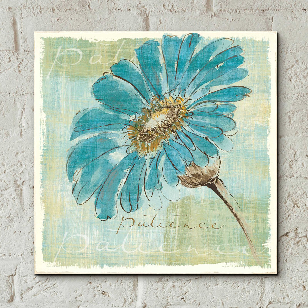 Spa Daisies II by Chris Paschke - 12x12 acrylic wall art in a room