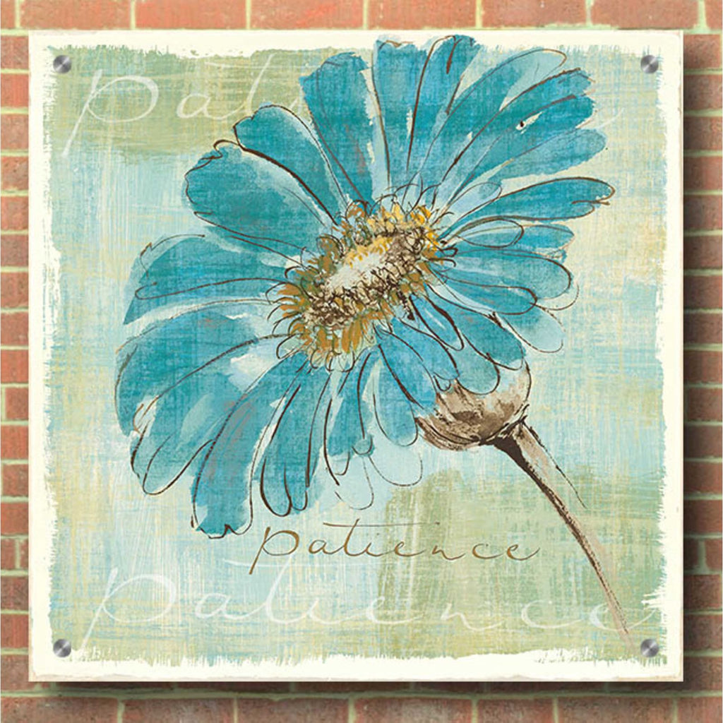 Spa Daisies II by Chris Paschke - 36x36 acrylic wall art in a room