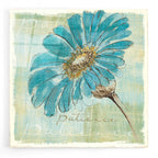 Spa Daisies II by Chris Paschke acrylic glass wall art