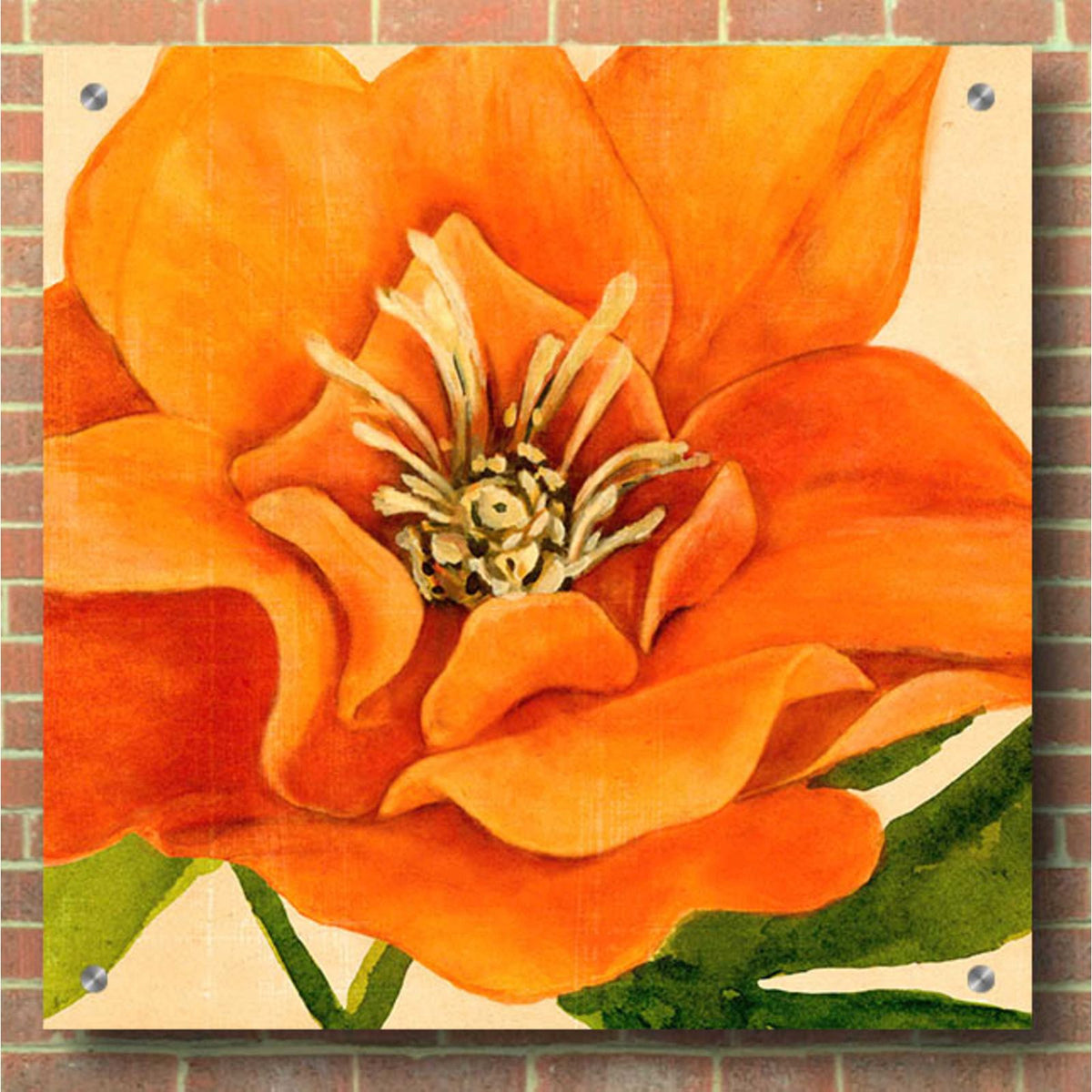 Copper Petals II by Annie Warren - 36x36 acrylic wall art in a room