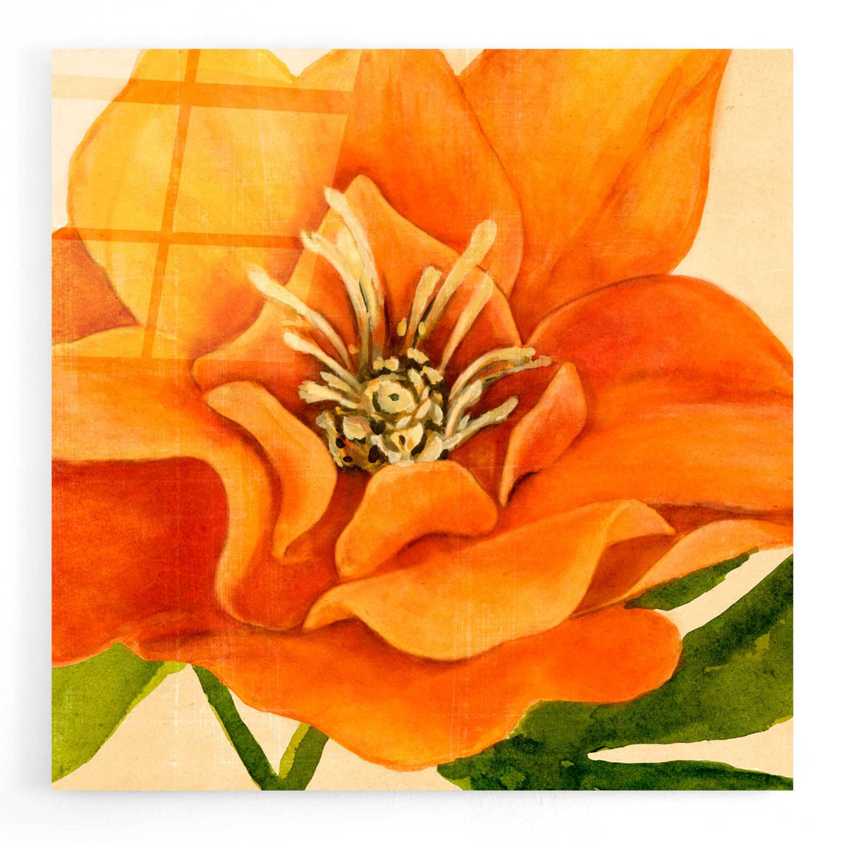 Copper Petals II by Annie Warren acrylic glass wall art