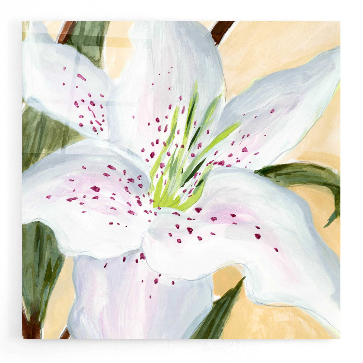 White Lily I by Annie Warren acrylic glass wall art