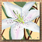 White Lily II by Annie Warren - 36x36 acrylic wall art in a room