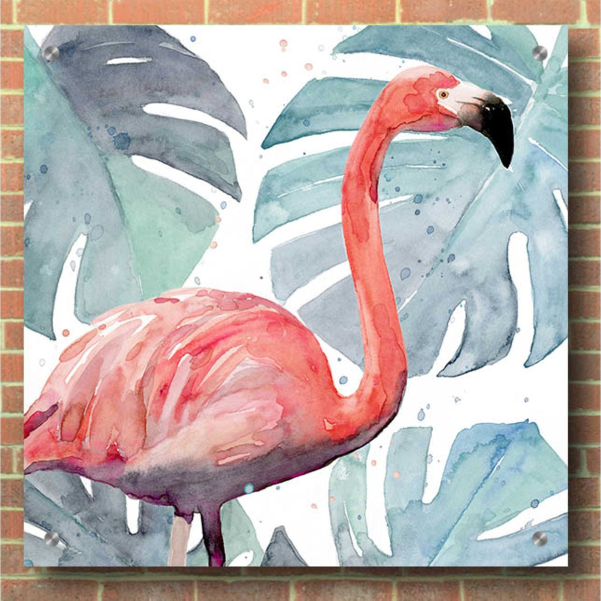 Flamingo Splash I by Annie Warren - 36x36 acrylic wall art in a room