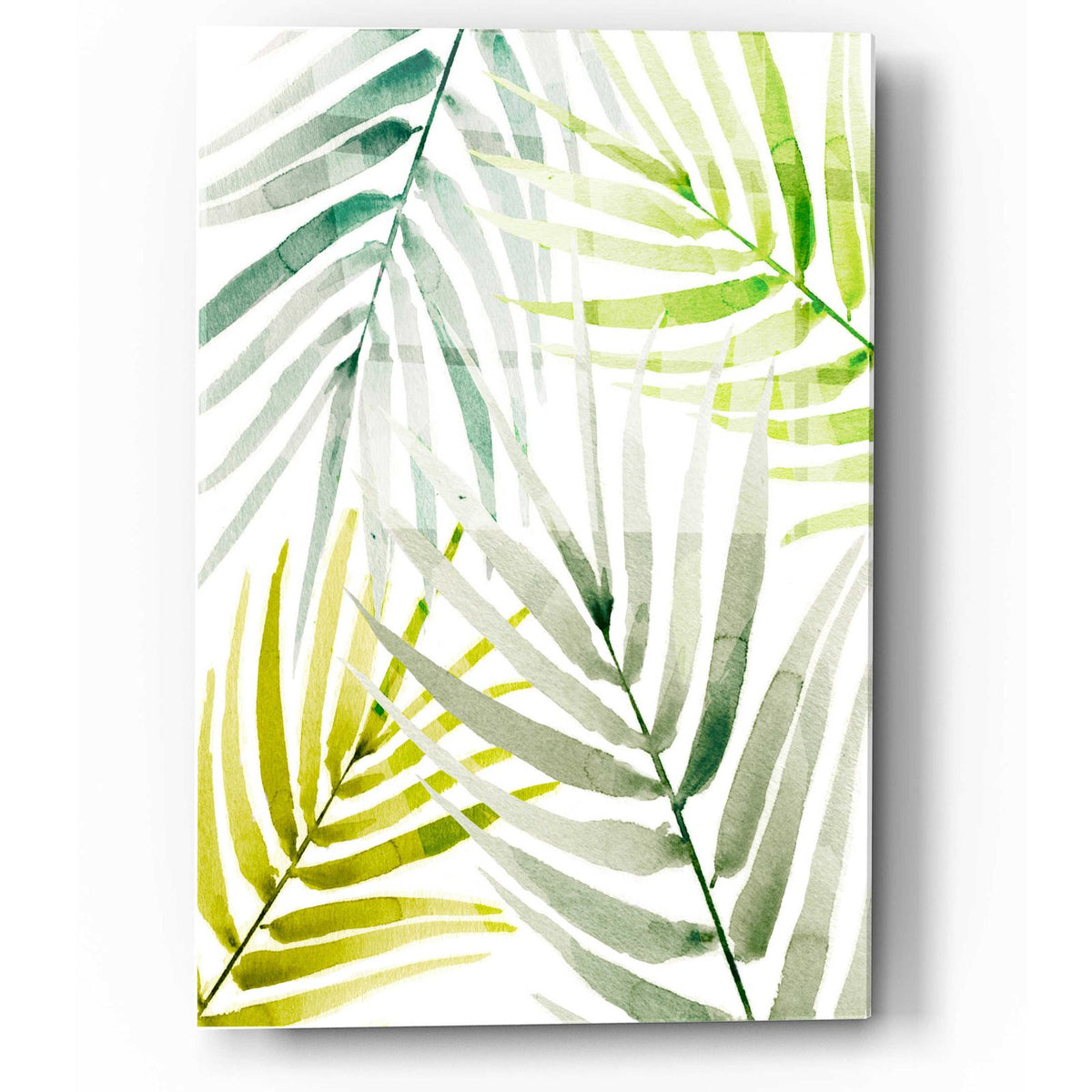 Shady Palm I by Annie Warren acrylic glass wall art