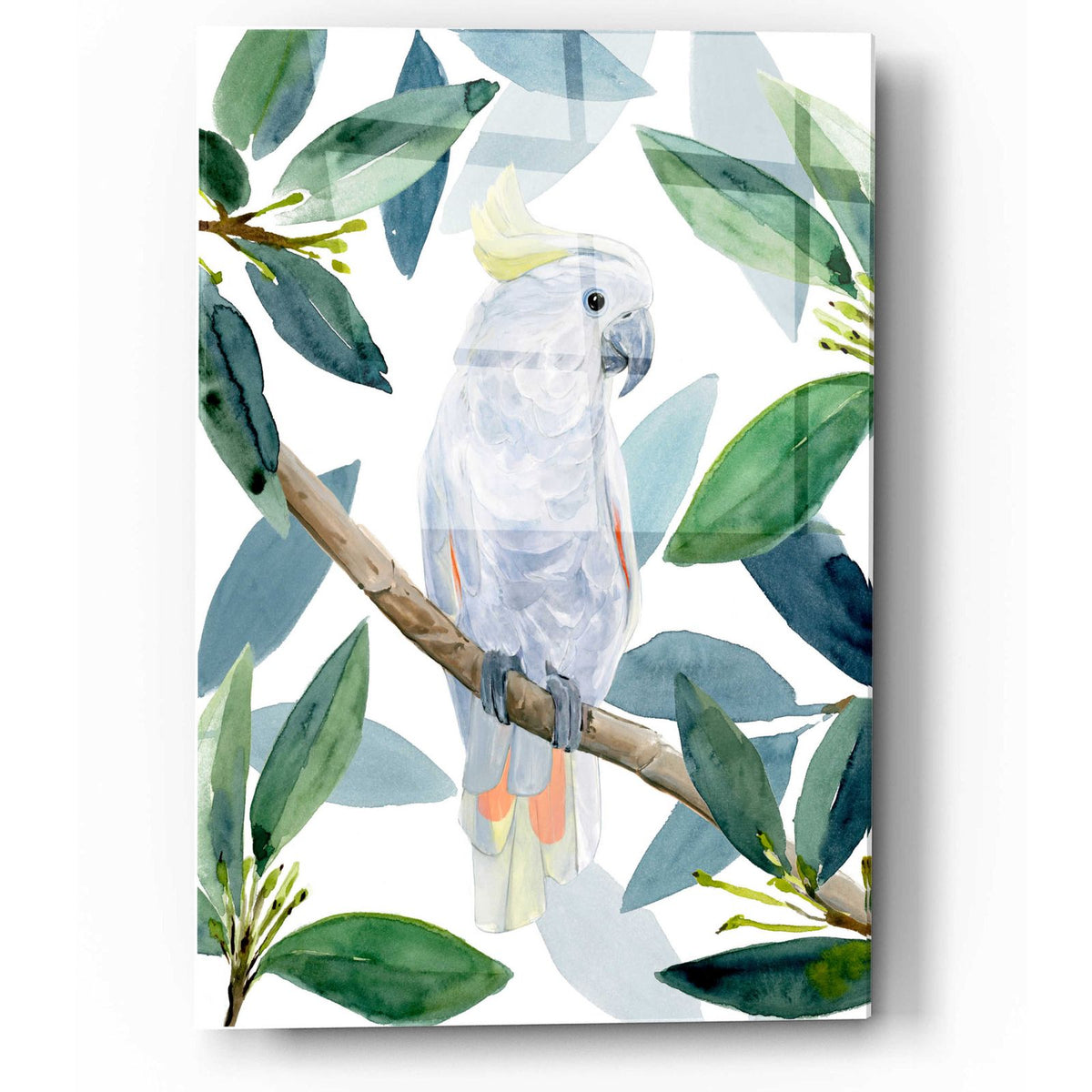 Cockatoo Perch I by Annie Warren acrylic glass wall art