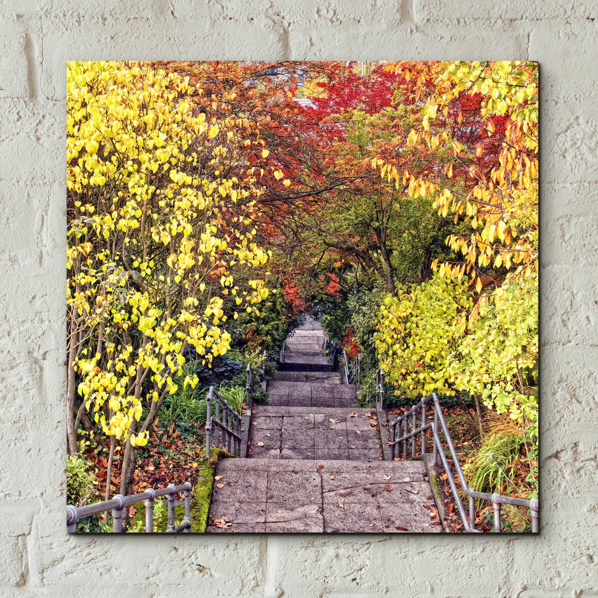 Autumn Tunnel by Colby Chester - 12x12 acrylic wall art in a room