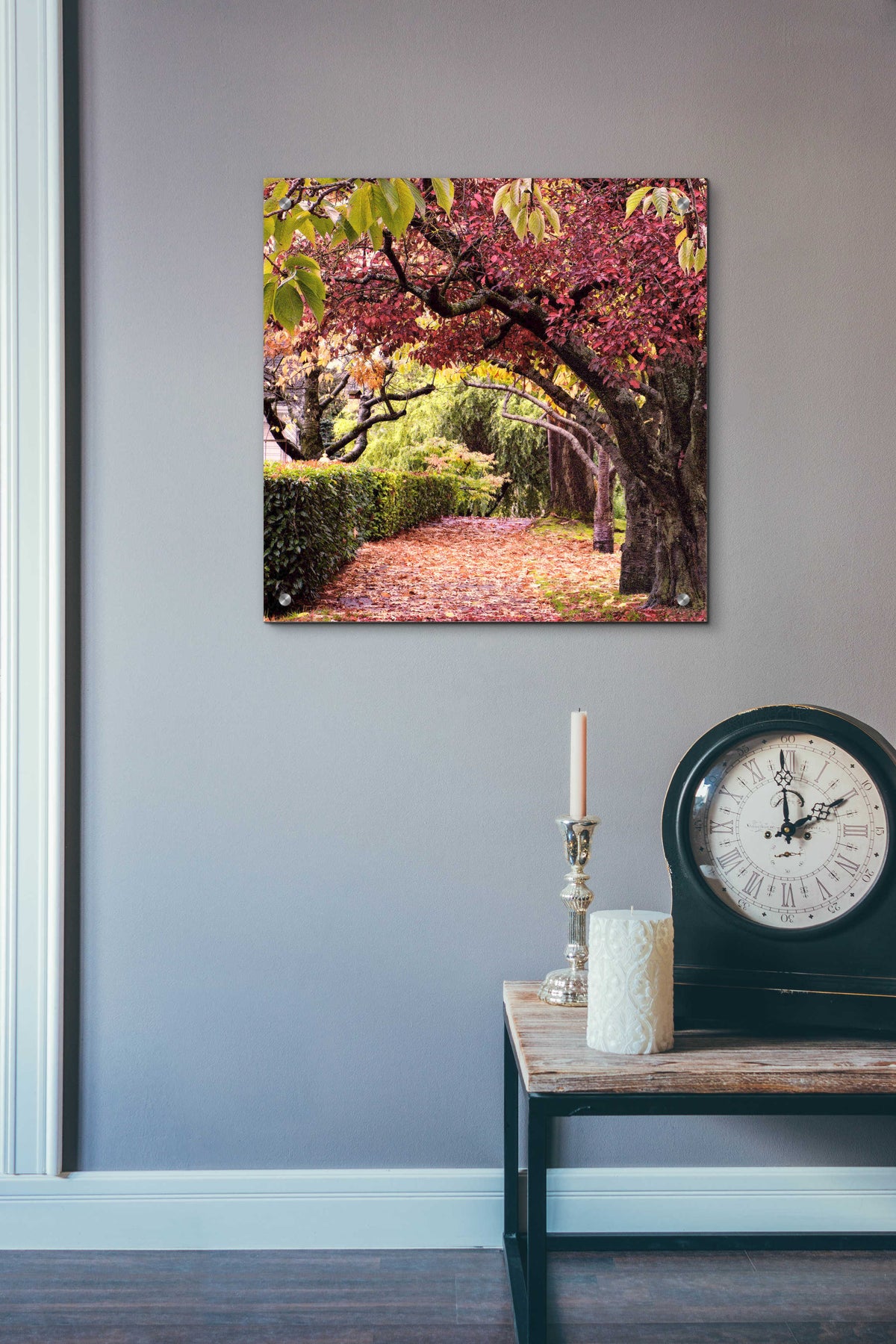 Arch of Trees by Colby Chester - 24x24 acrylic wall art in a room
