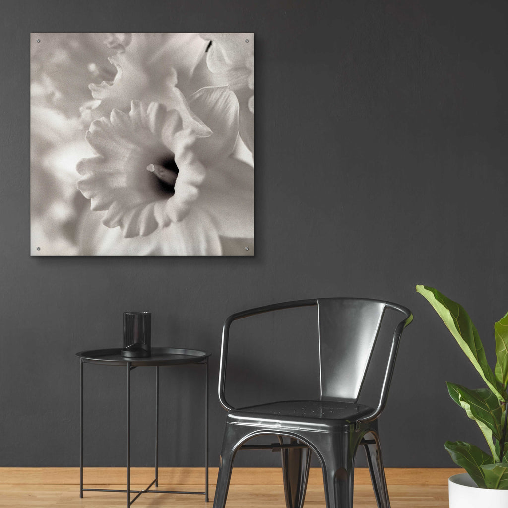 Epic Art 'Florison 45' by Alan Blaustein Acrylic Glass Wall Art,36x36
