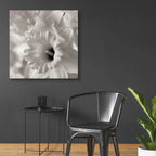 Epic Art 'Florison 45' by Alan Blaustein Acrylic Glass Wall Art,36x36