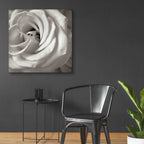 Epic Art 'Florison 43' by Alan Blaustein Acrylic Glass Wall Art,36x36