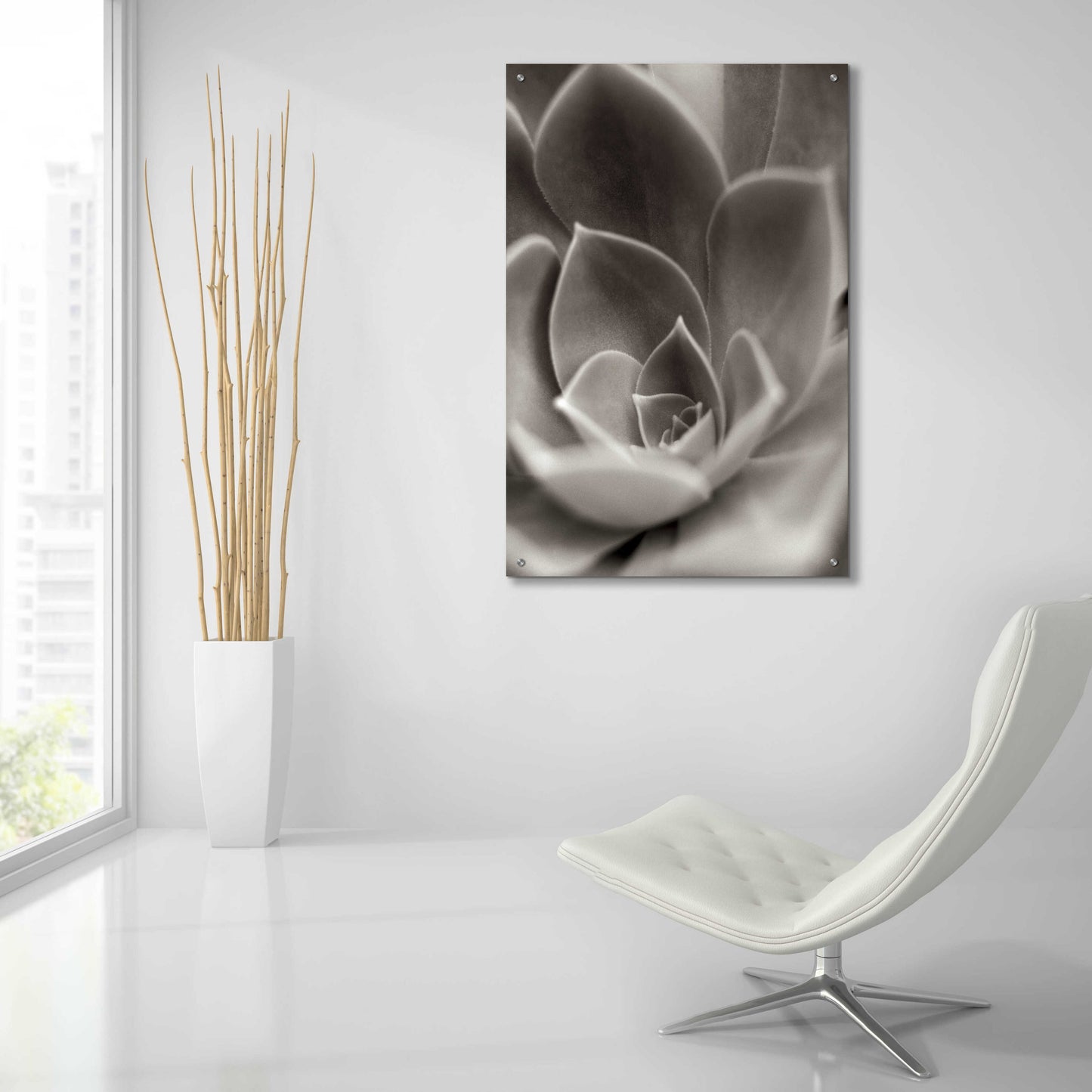 Epic Art 'Florison 25' by Alan Blaustein Acrylic Glass Wall Art,24x36