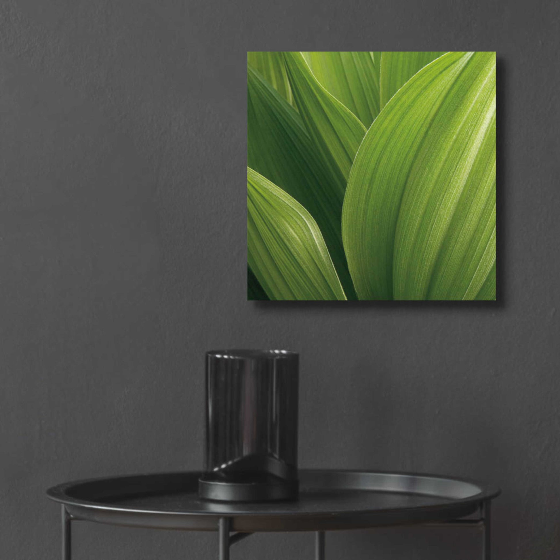 Epic Art 'Corn Lily' by Jan Bell Acrylic Glass Wall Art,12x12