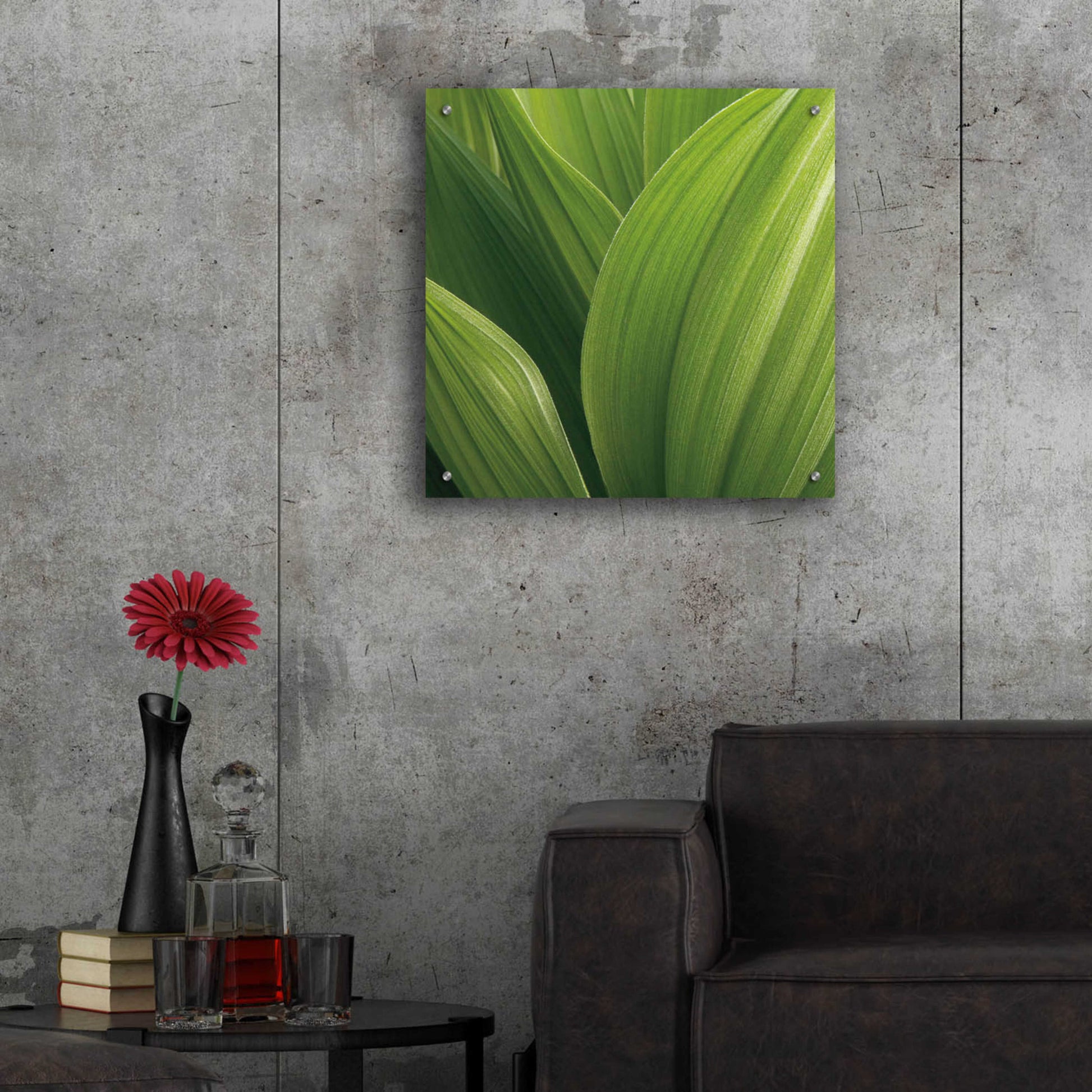 Epic Art 'Corn Lily' by Jan Bell Acrylic Glass Wall Art,24x24